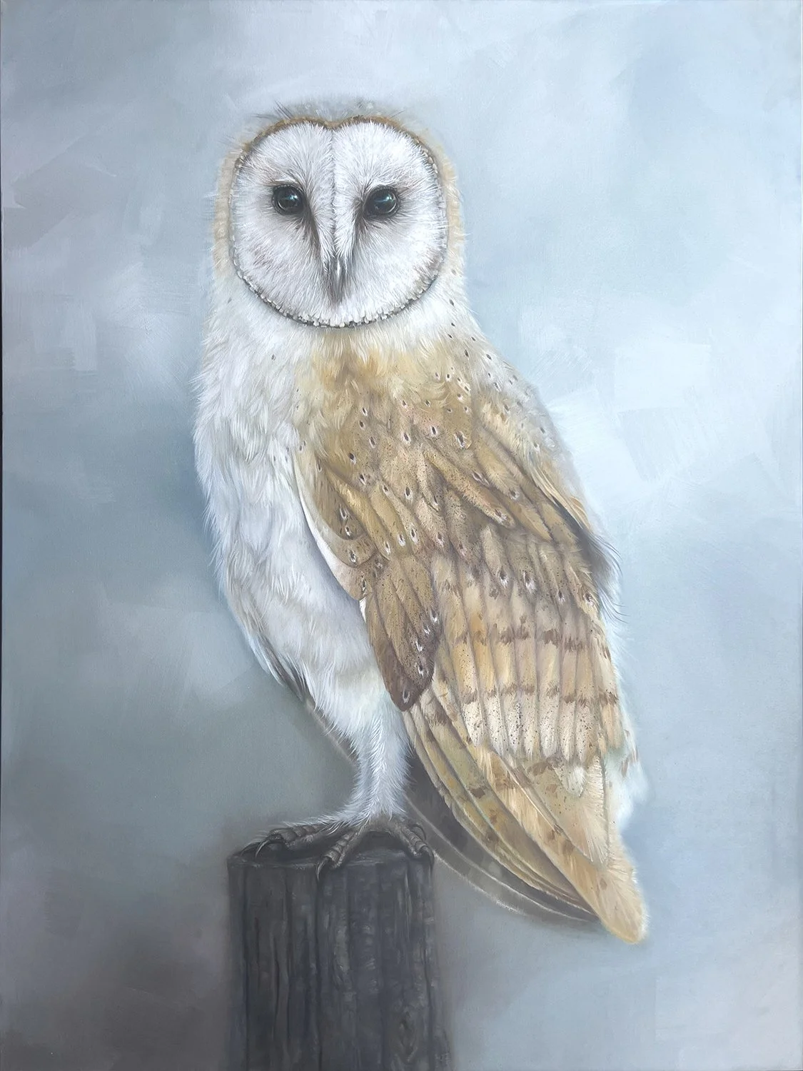 Barn Owl
- Oil on Wrapped Canvas  48” X 36”