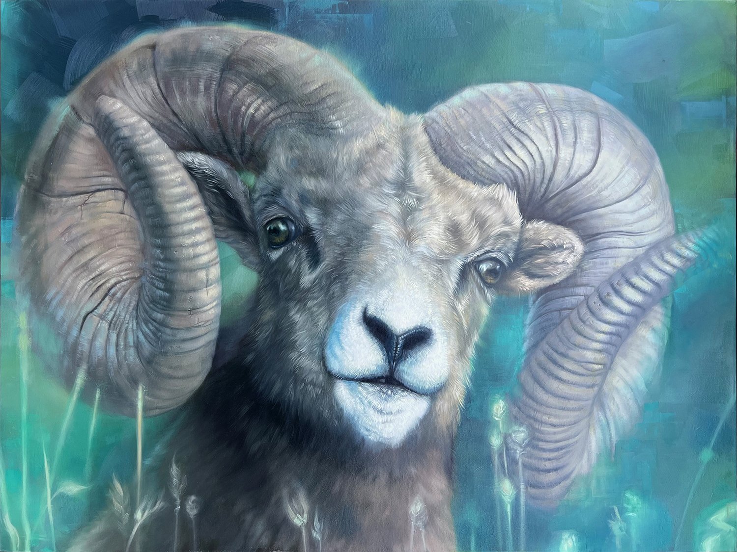Big Horn Sheep
- Oil on Wrapped Canvas  48” X 36”