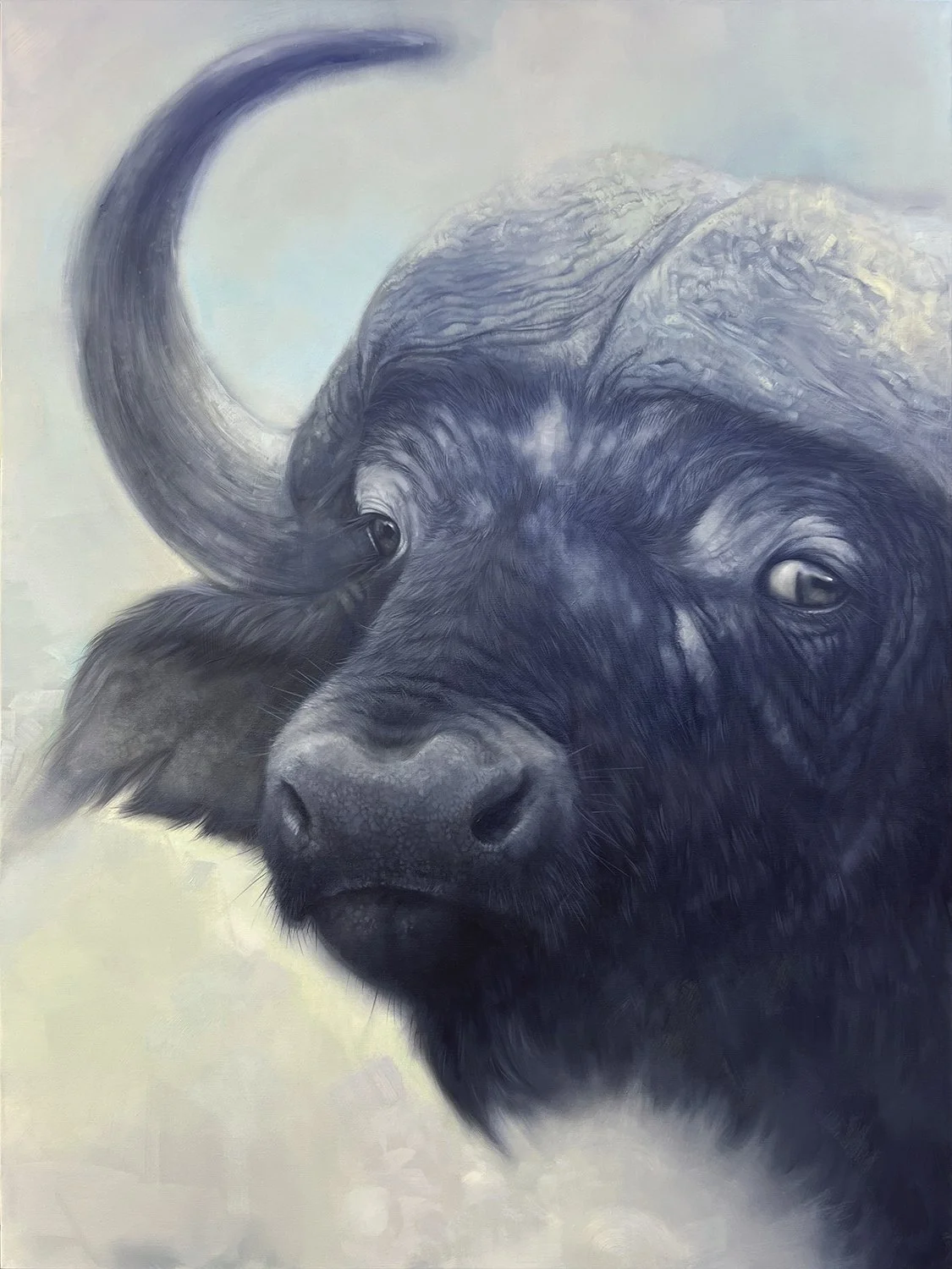 Buffalo
- Oil on Wrapped Canvas 48” X 36”
