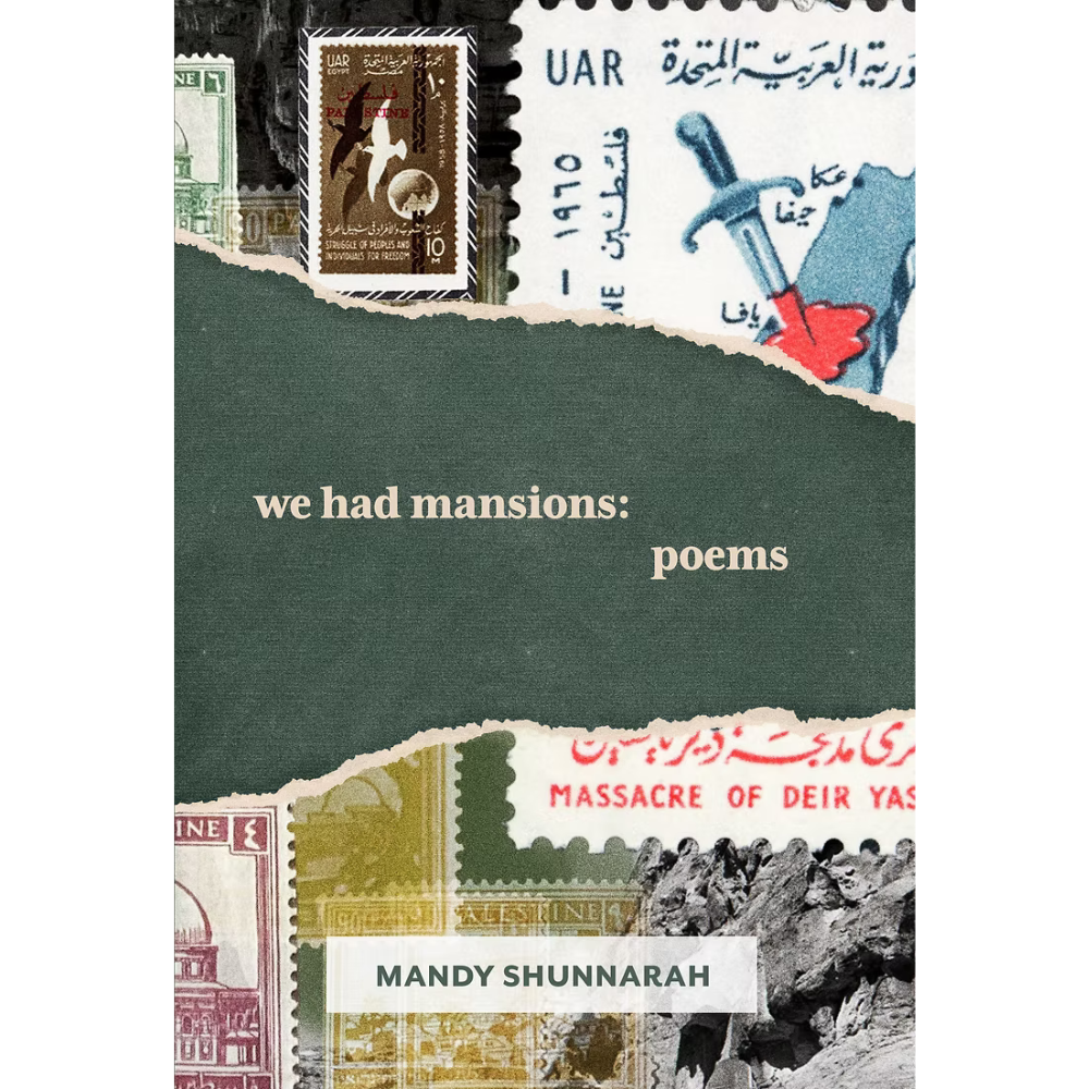 Shunnarah_we had mansions.png