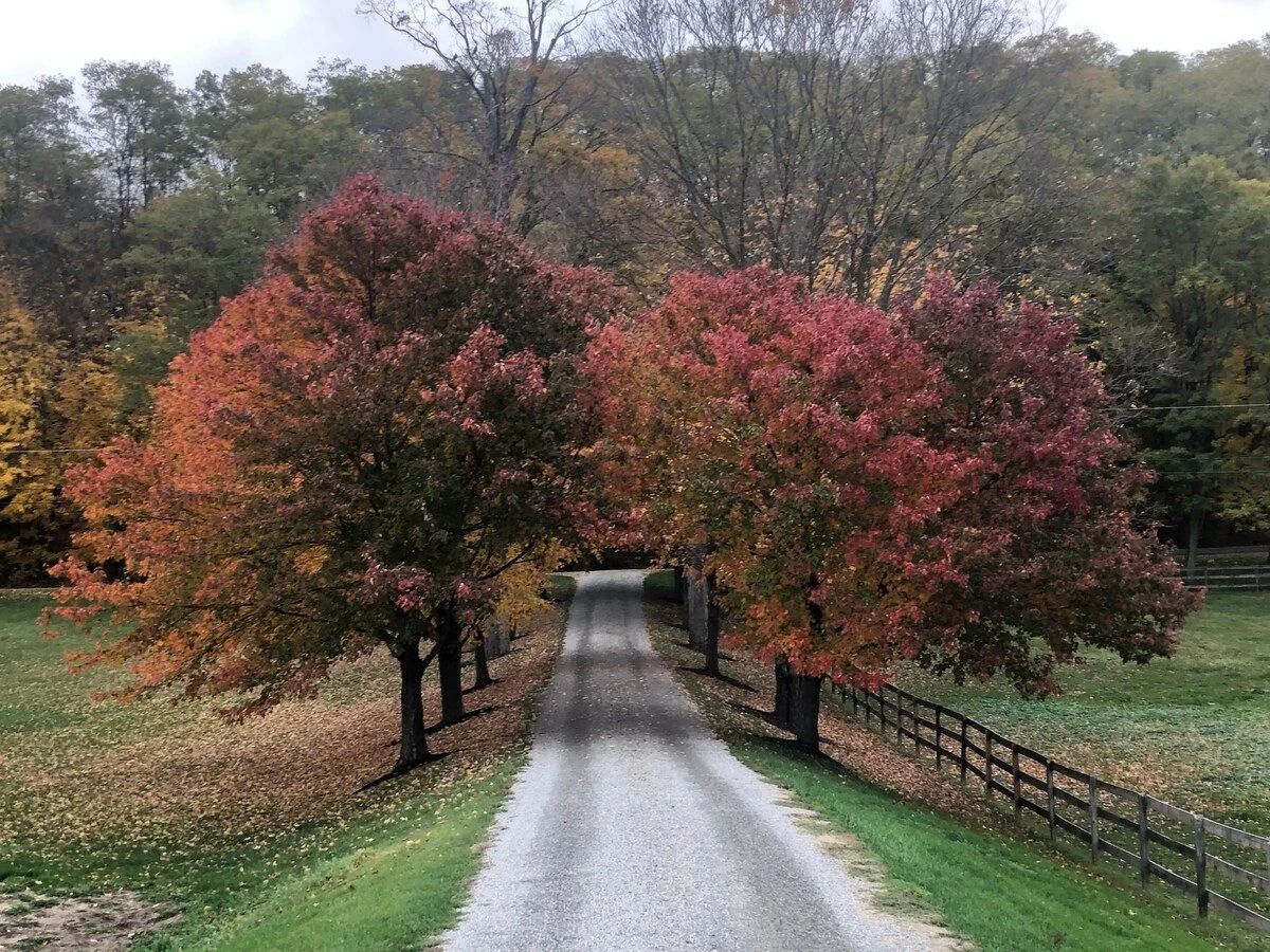 fdb22297-f0bb-489a-8f9e-7b28686c3fde.jpeg (Copy) (Copy) (Copy) (Copy)