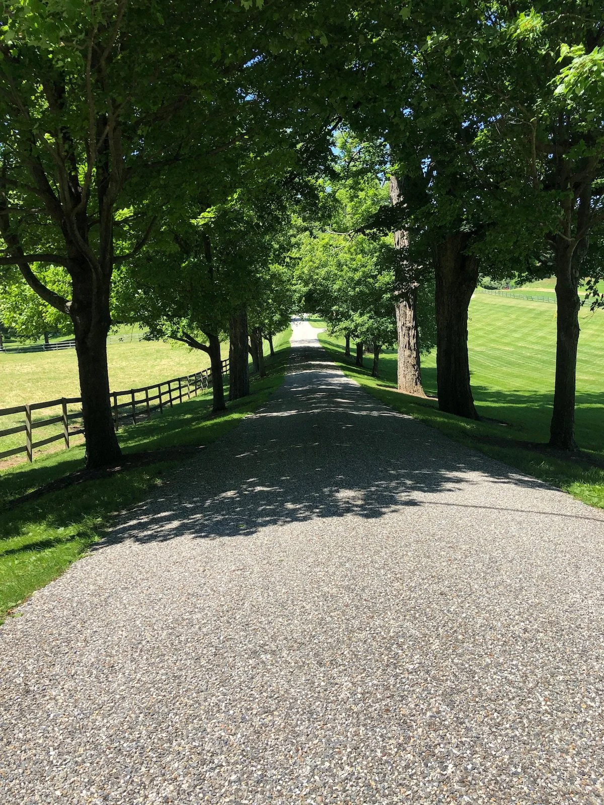 70477a9b-2b50-4522-9d10-e7a623e522d2.jpg.jpeg (Copy) (Copy) (Copy) (Copy)