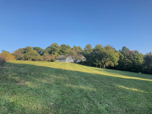 Screenshot 2026-02-15 115955.png