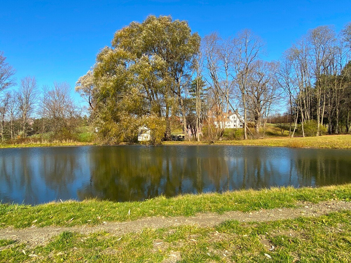 a01e868b-1947-46b7-8e18-3da3dca572c7.jpeg (Copy) (Copy) (Copy) (Copy)