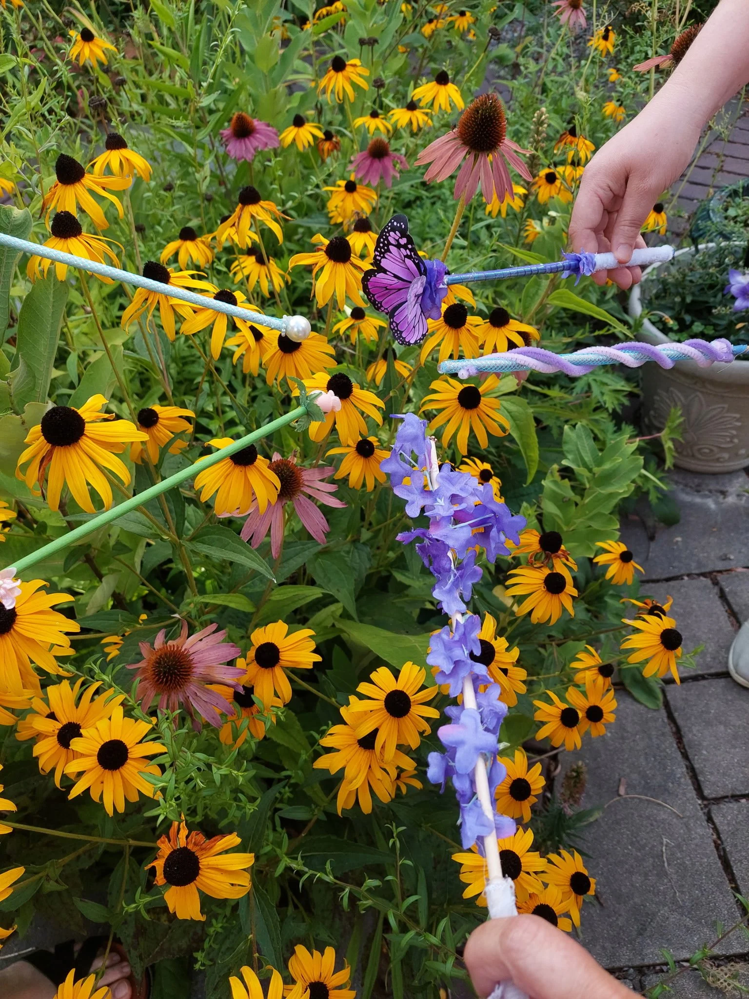 20260819_172920.jpg