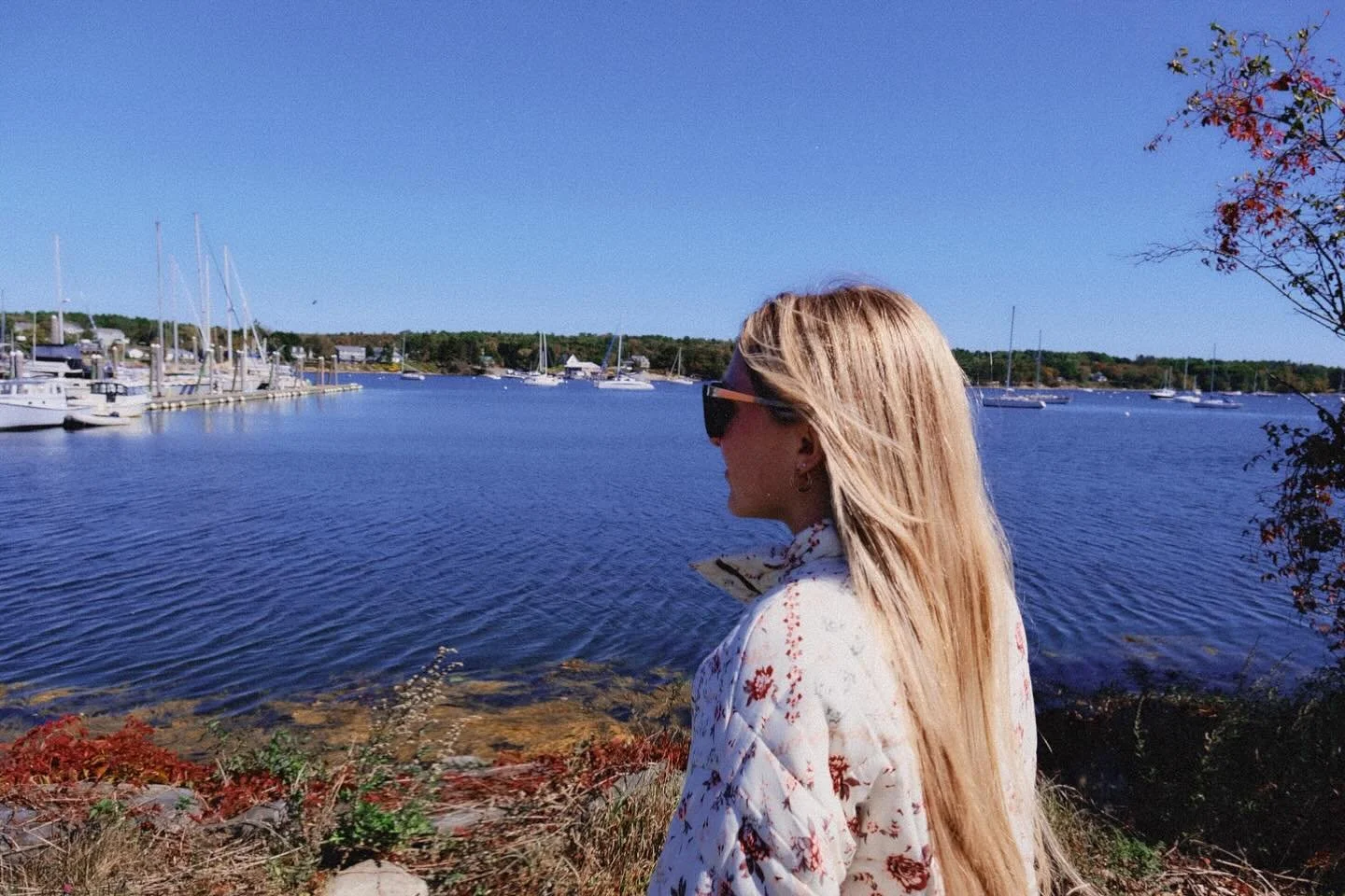fall in maine🍁🍂