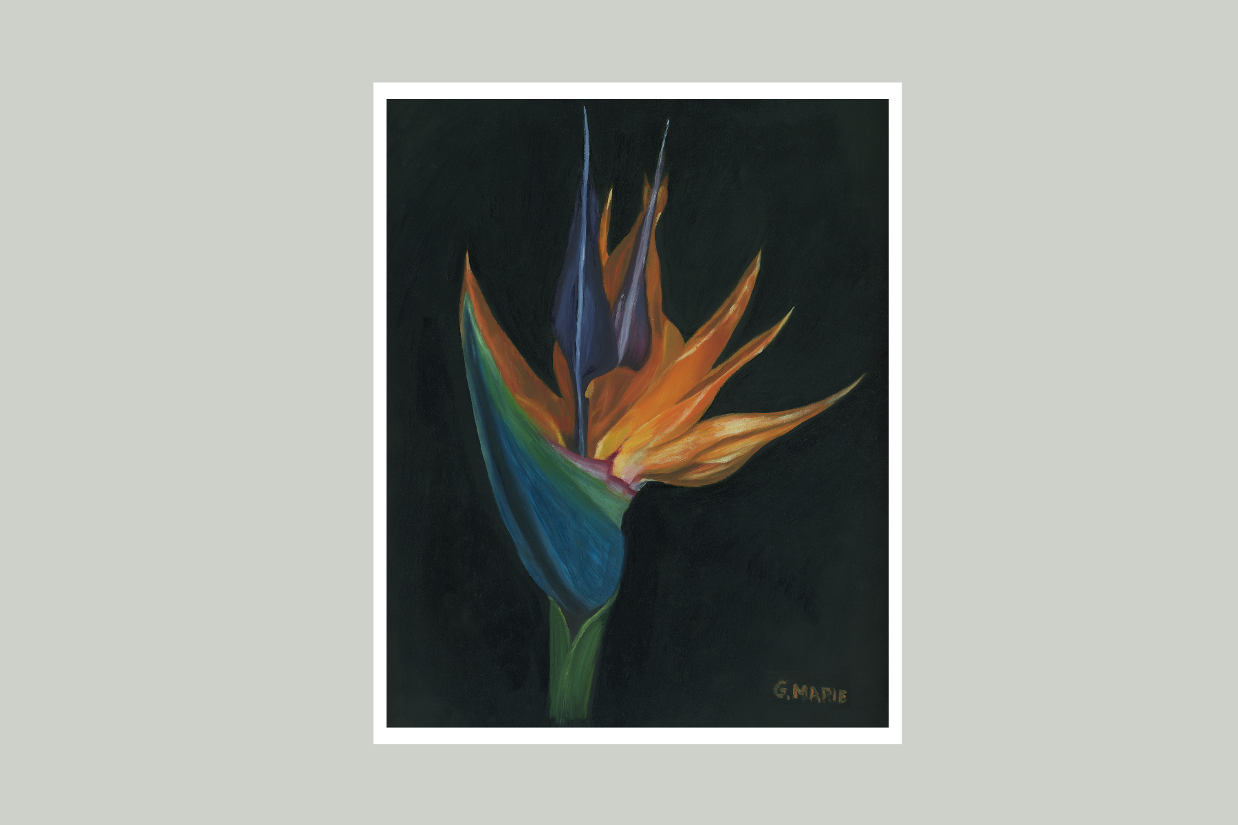 Bird of Paradise