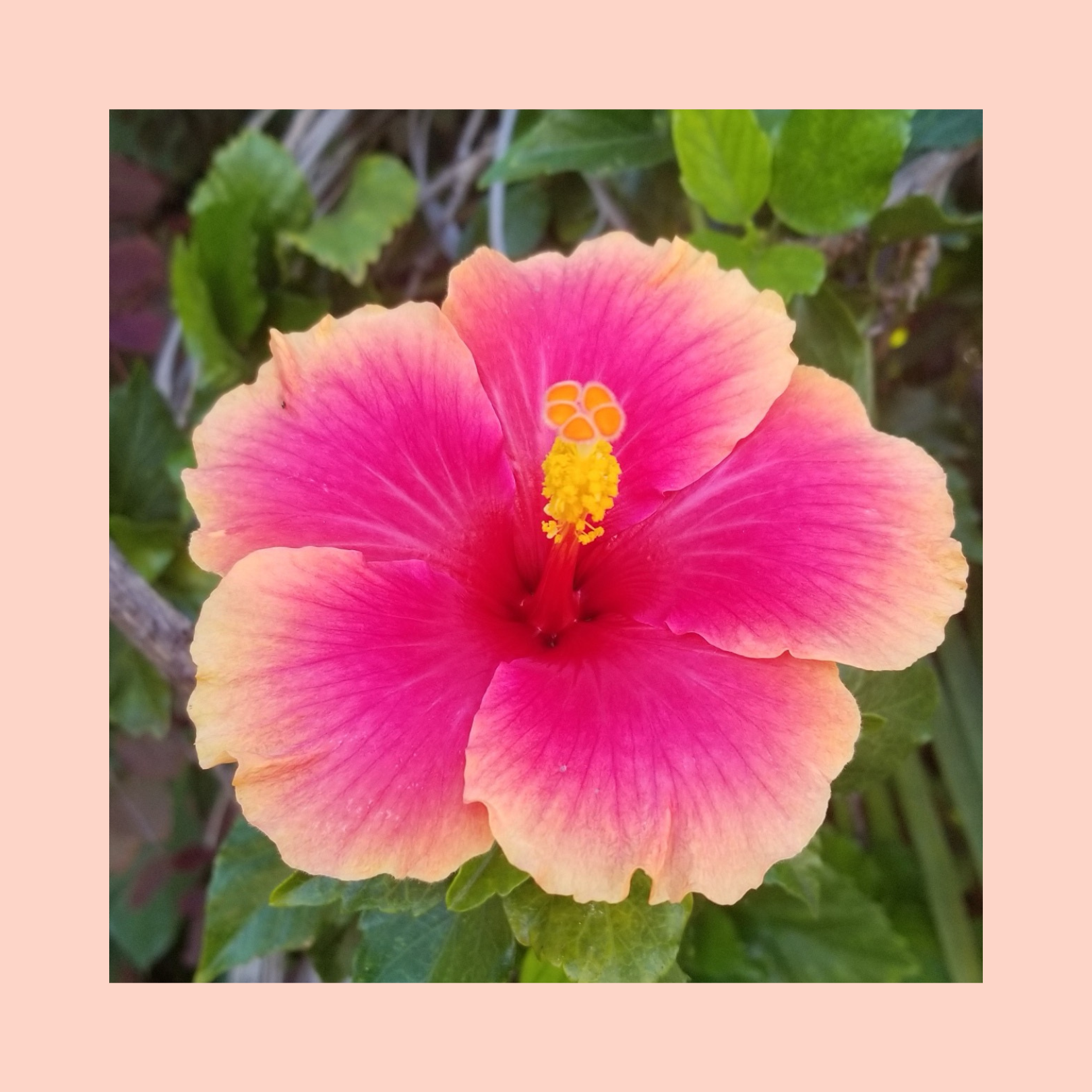 Cultivating meaning: Be patient and pay attention