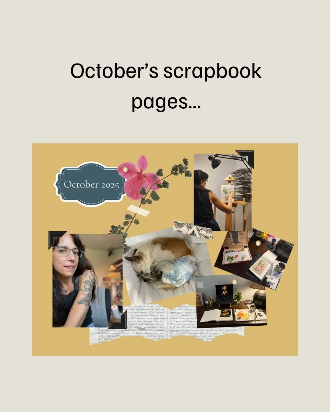 October&rsquo;s scrapbook is live:

🧑&zwj;🎨 Studio days on Maui
🐶  A quick snuggle with Louie (who we just had to put down)
🖼️ Small practice paintings in my sketchbook
🎽  My first public showing&hellip;in the Lululemon fitting rooms of all plac