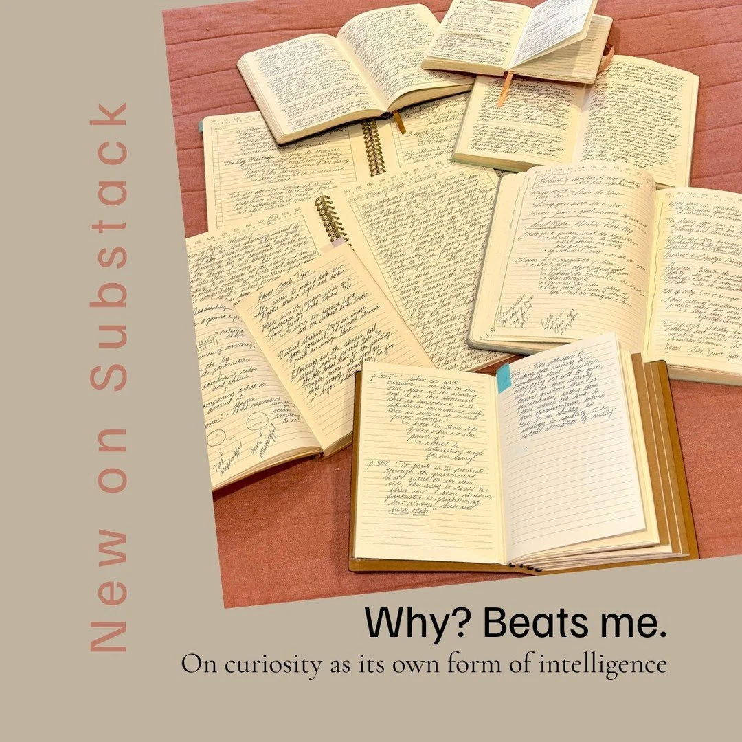 Annie Dillard once wrote, "I've got to read and concentrate. Why? Beats me." I've thought about that line for years.

There's a difference between being curious and being smart. Smart produces things you can point to. Curiosity just asks, &