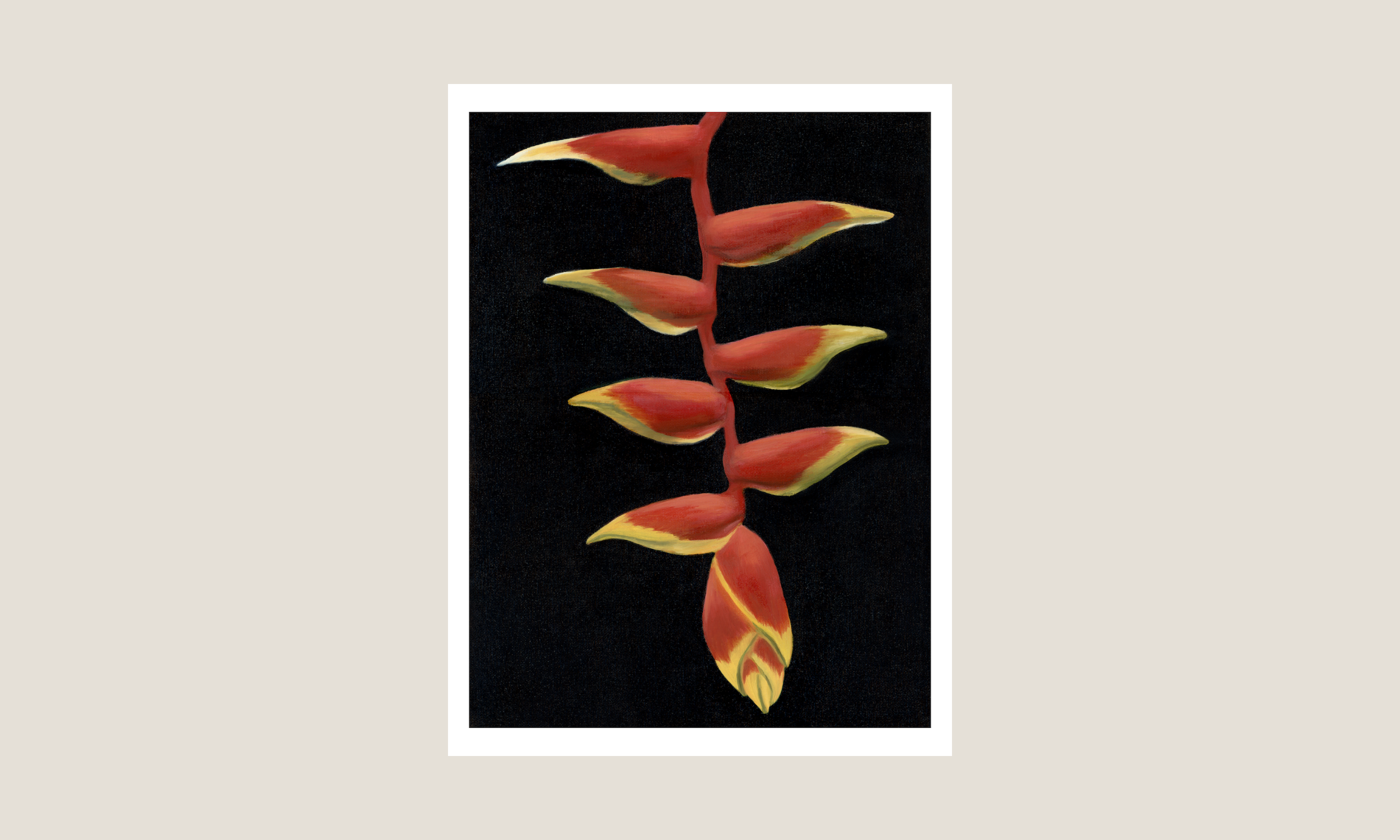 Hanging Heliconia.png
