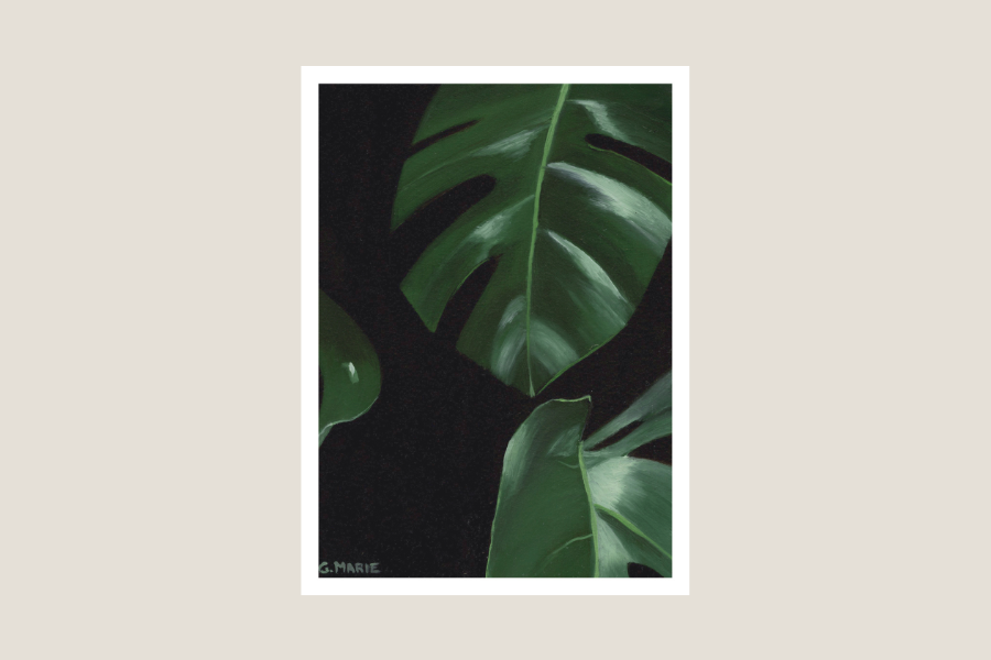 Monstera II