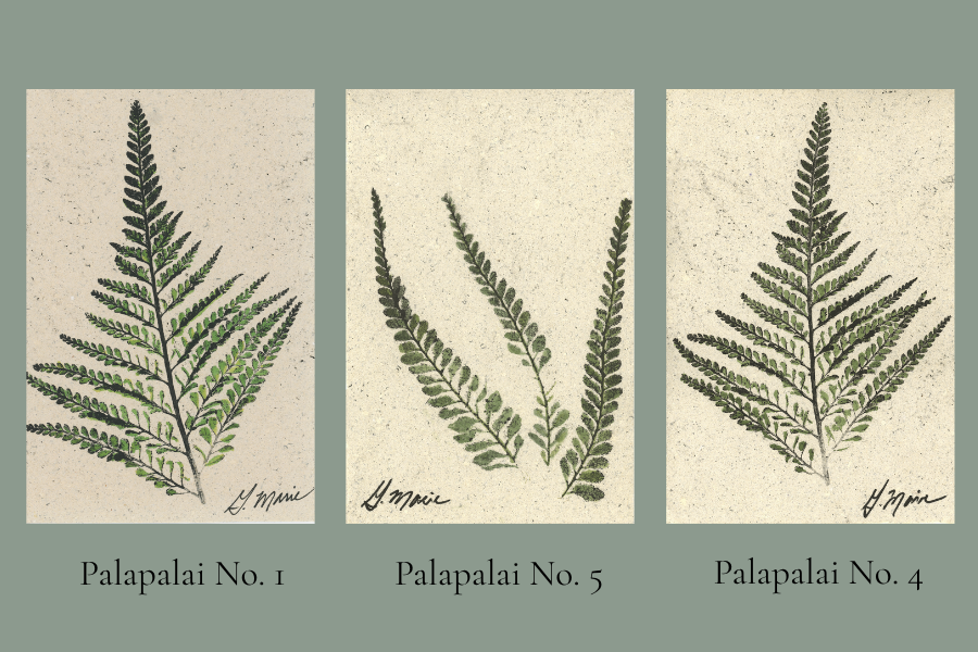 4x6 palapalai.png