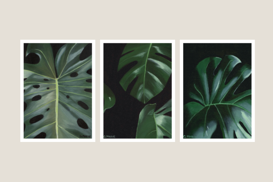 Monstera I II III.png