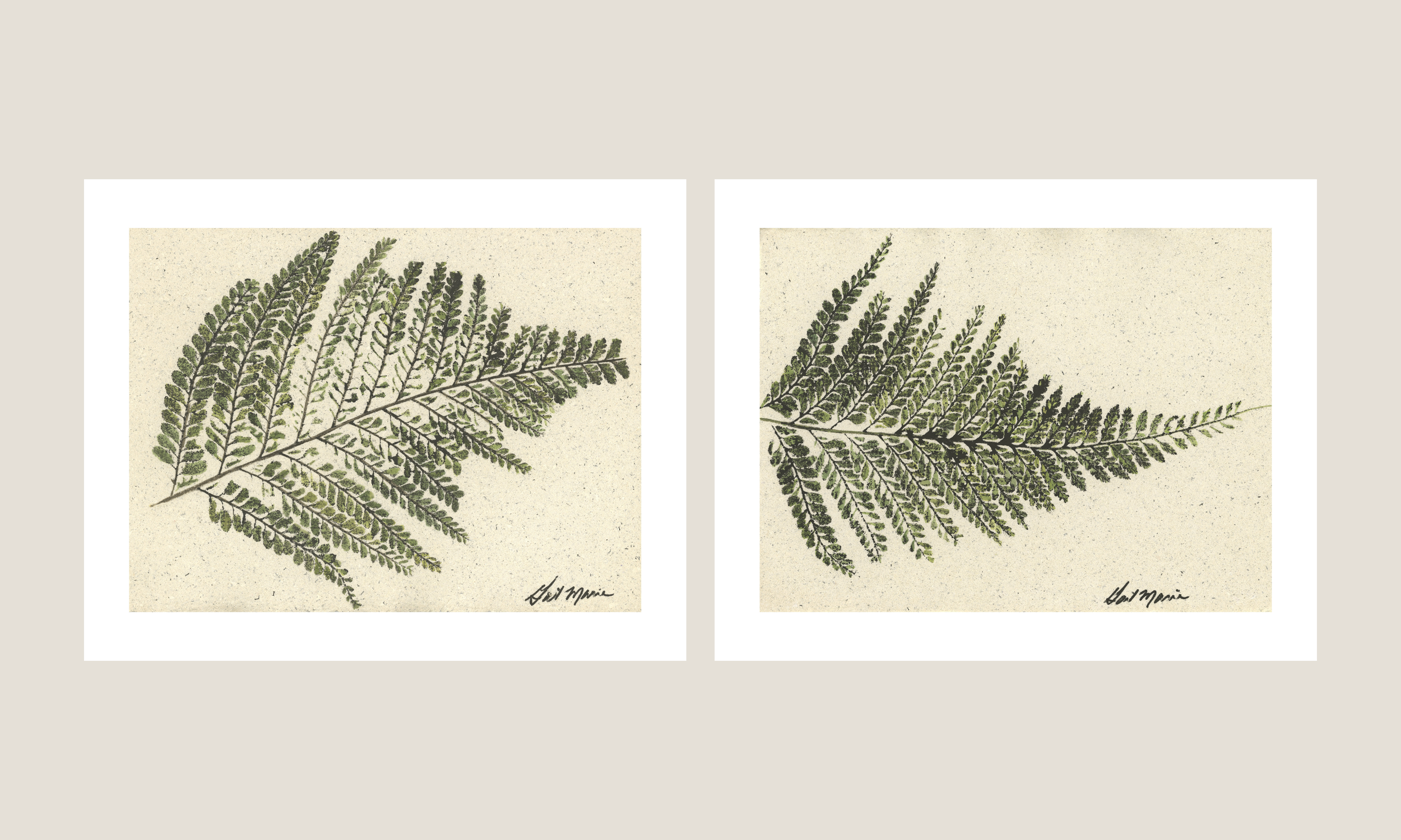 Palapalai series 3.png