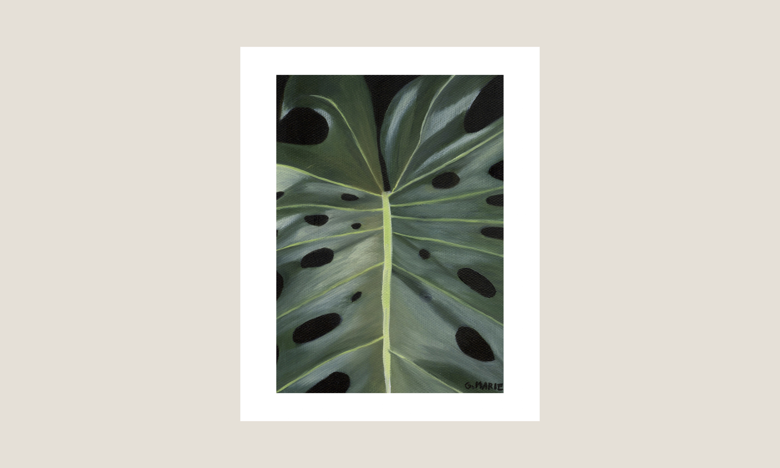 Monstera I