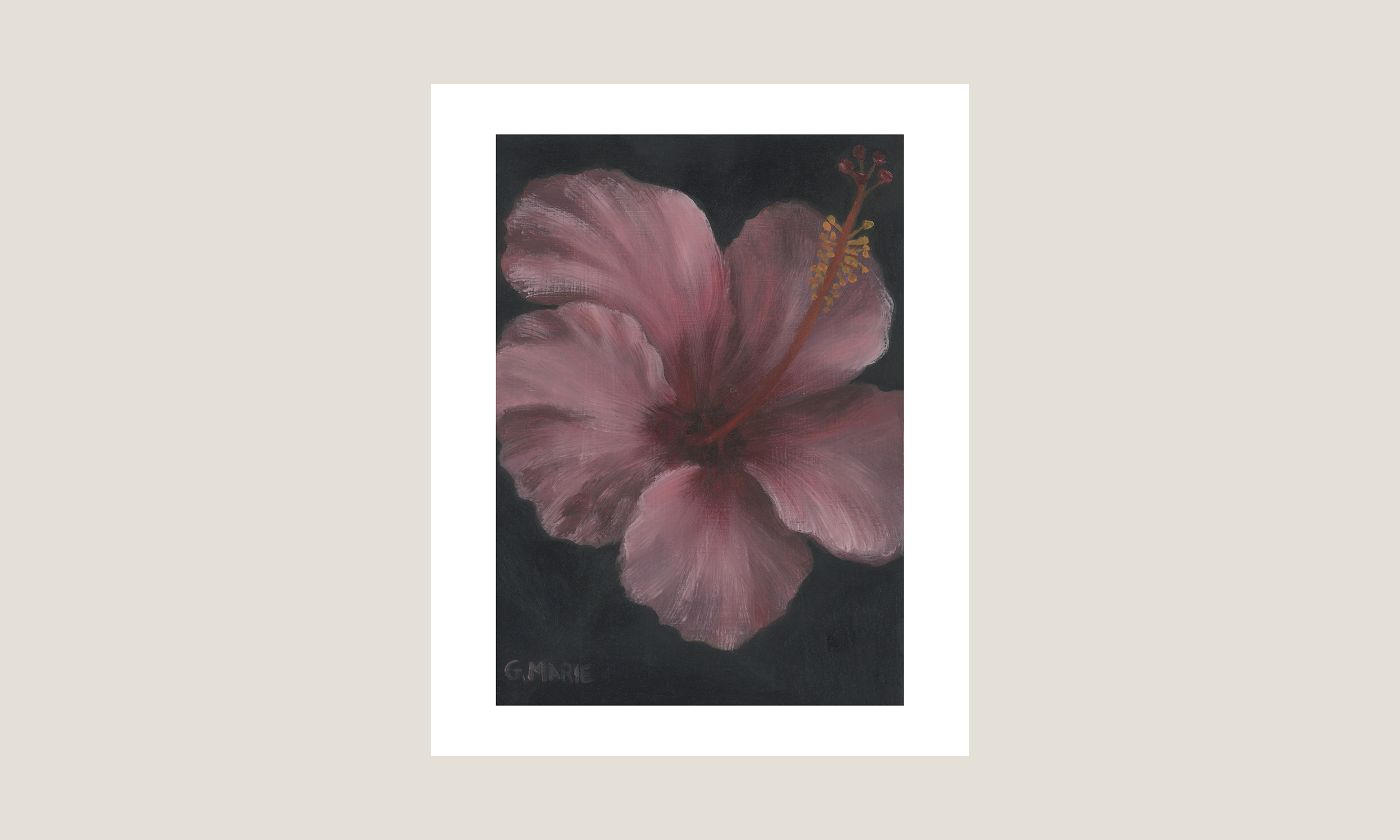 Pink Hibiscus
