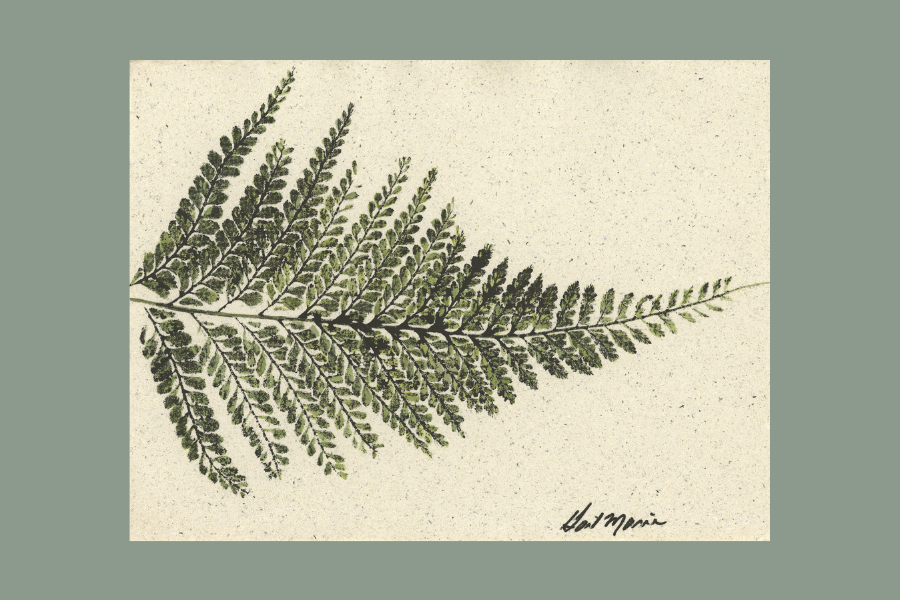 Palapalai 7, 6x8 horizontal.png