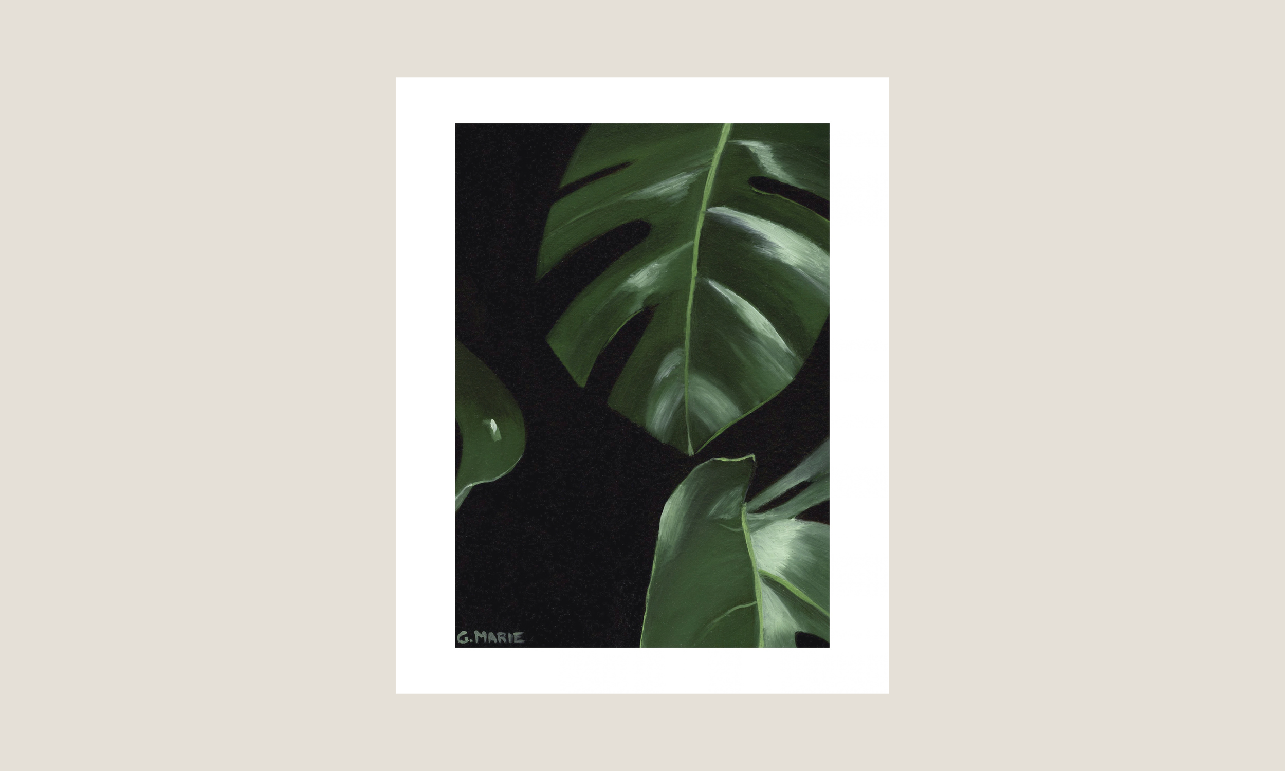 Monstera II