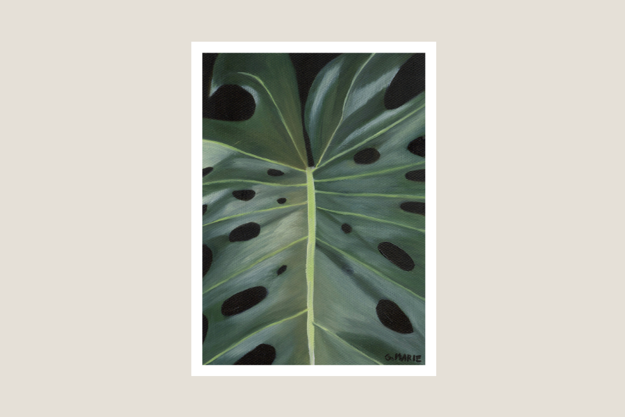 Monstera I