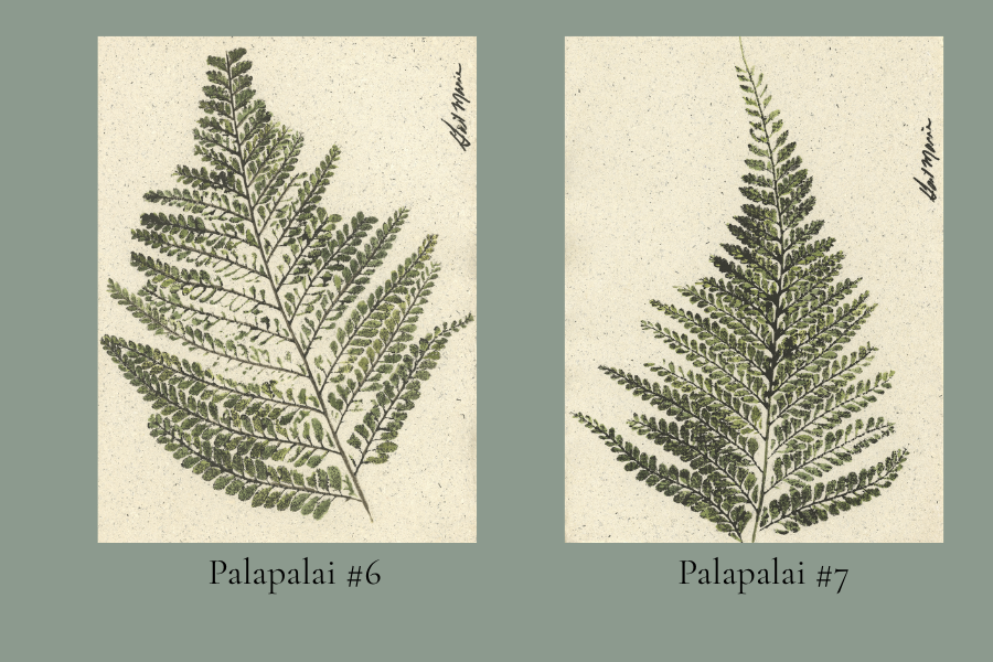 6x8 palapalai.png