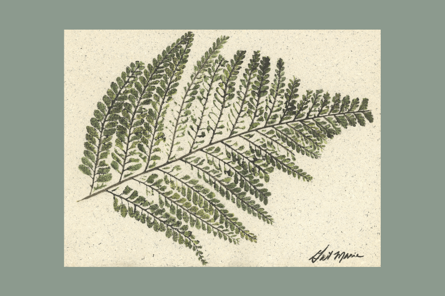 Palapalai 6, 6x8 horizontal.png