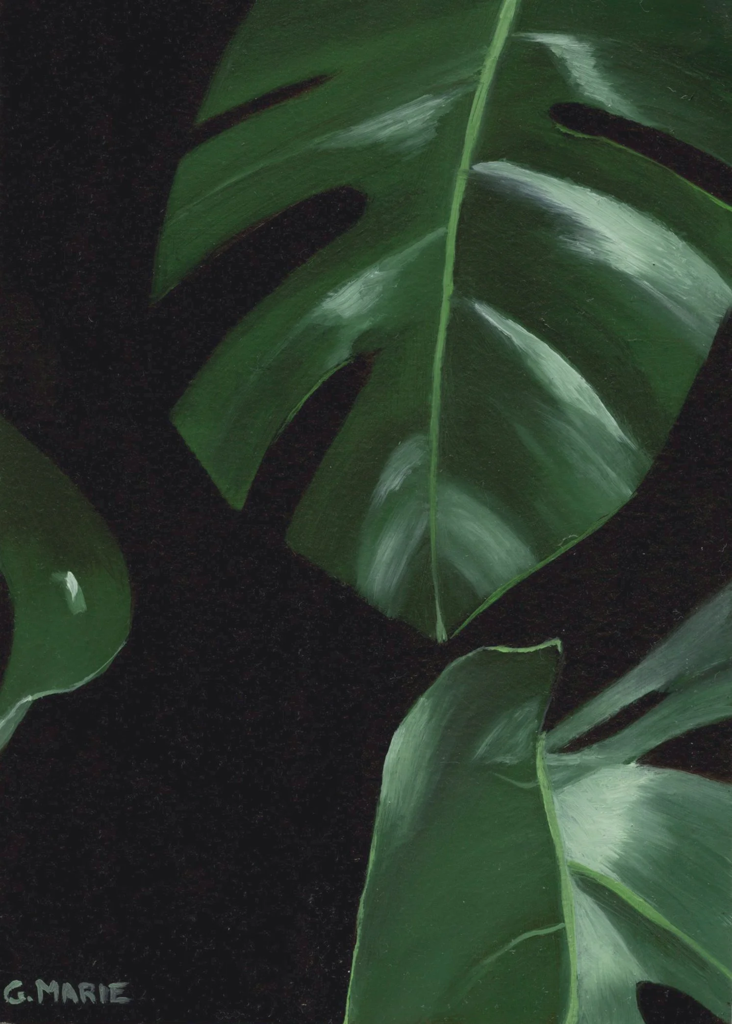 Monstera II — close‑up botanical oil painting of monstera leaf forms and shadow. Archival giclée prints in 6×8 and 8×10, plus a triptych option (all three 6×8 Monstera prints). Ships from Lahaina, Maui.