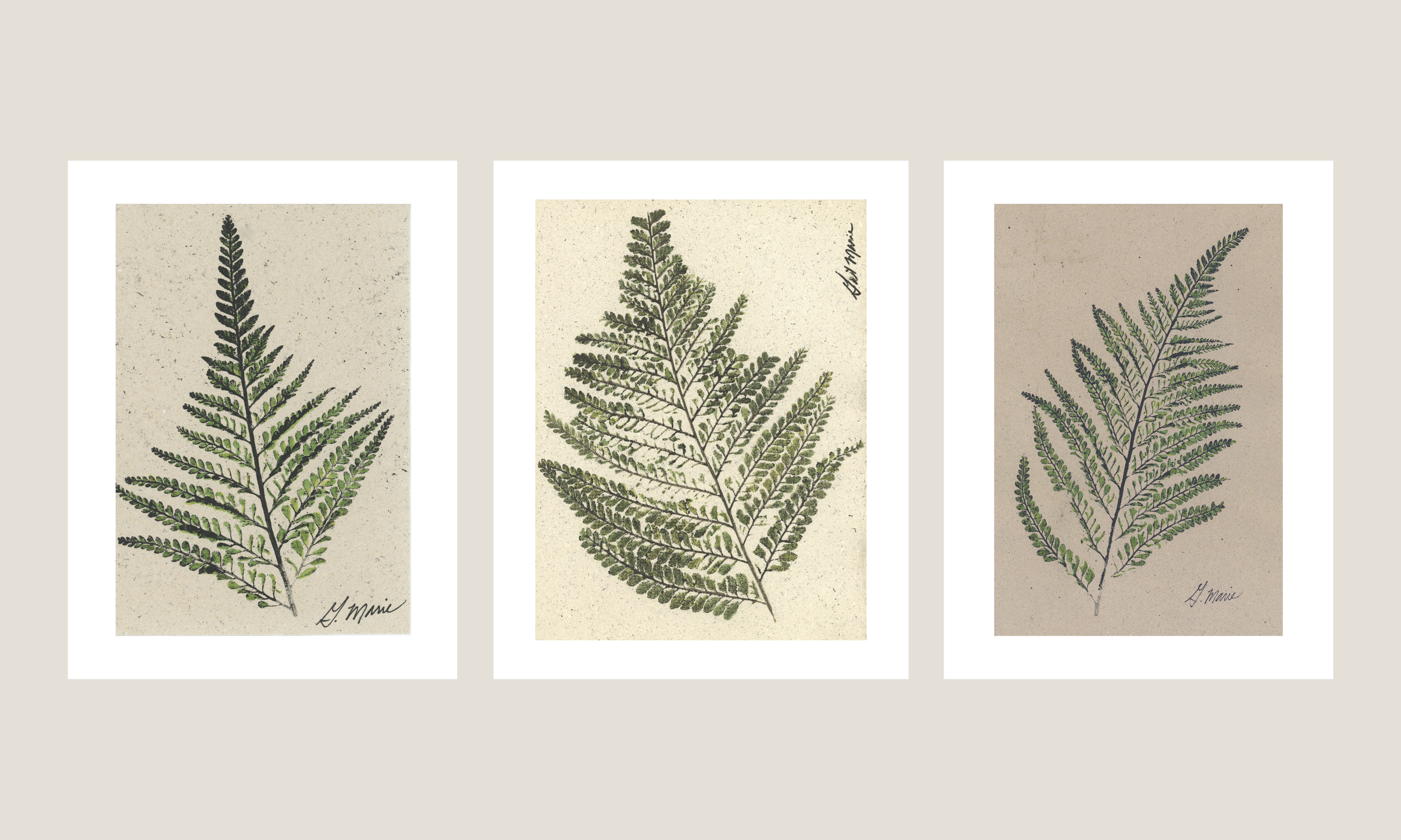 Palapalai series 2.png