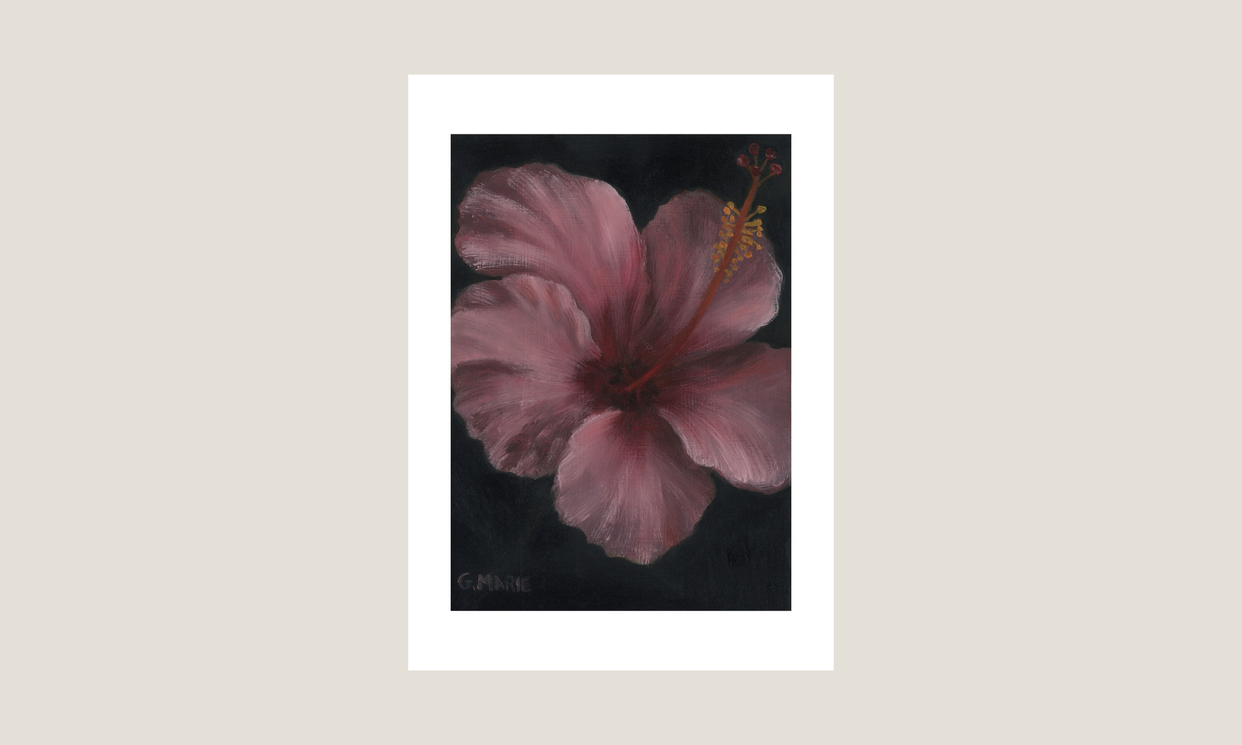 Pink Hibiscus