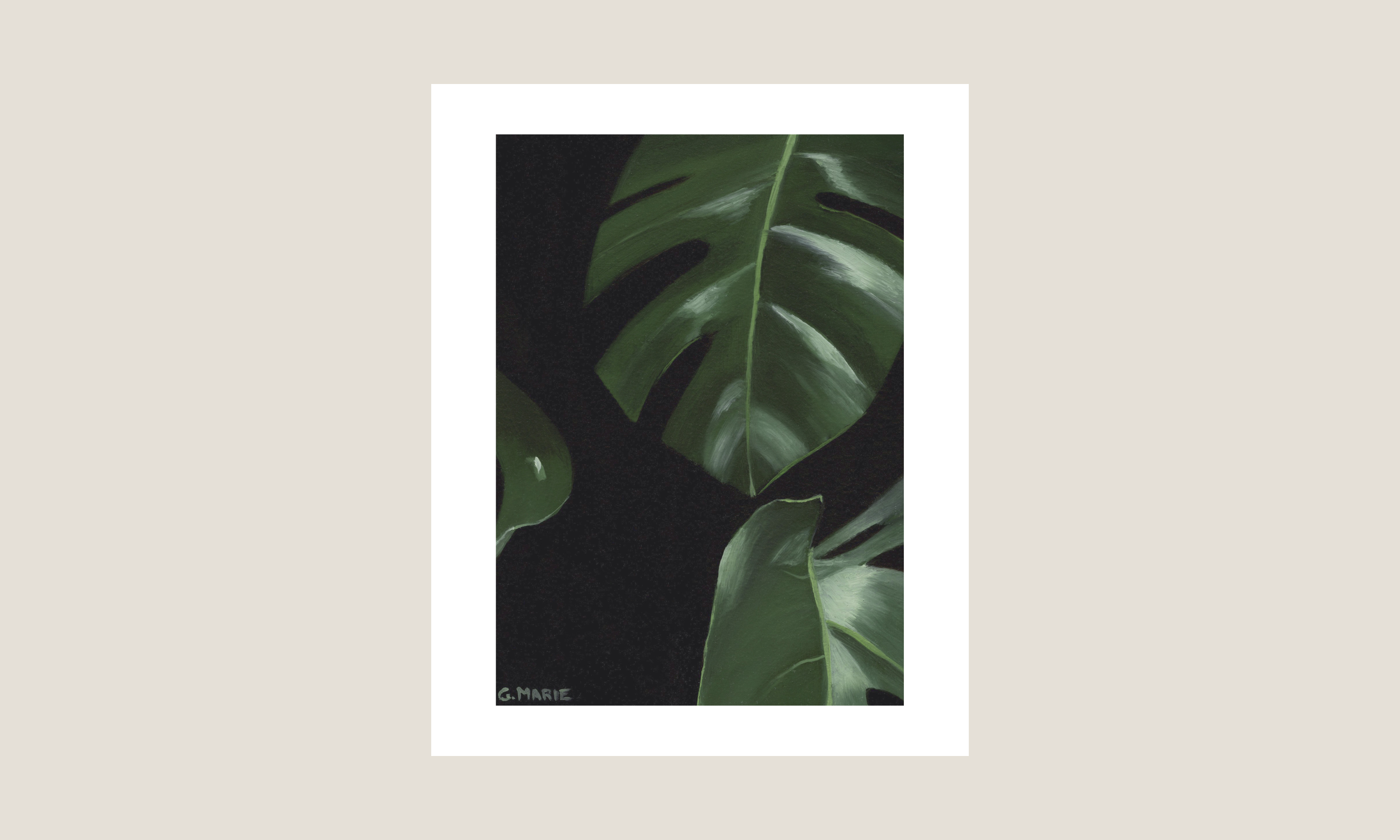 Monstera II