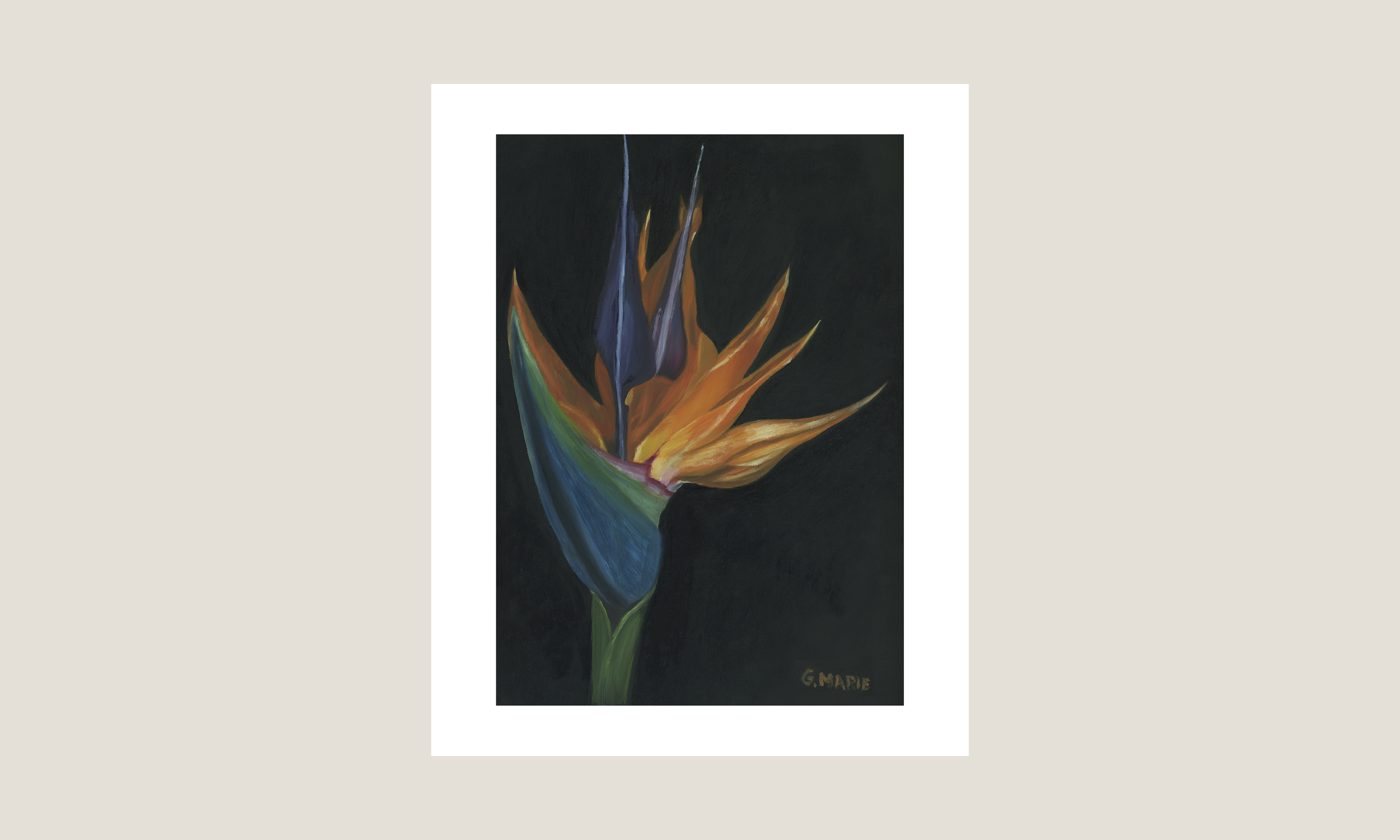 Bird of Paradise