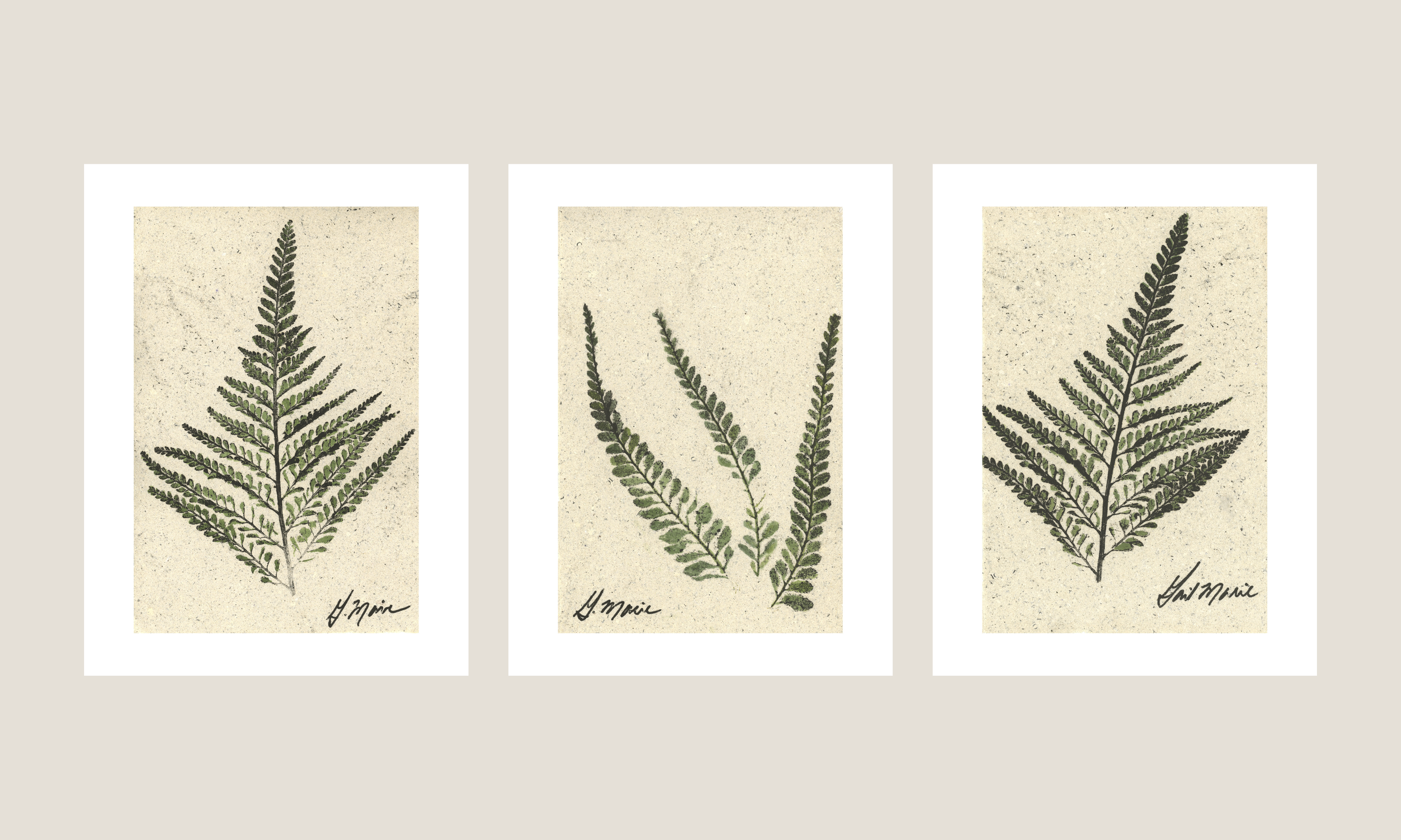 Palapalai series 1.png