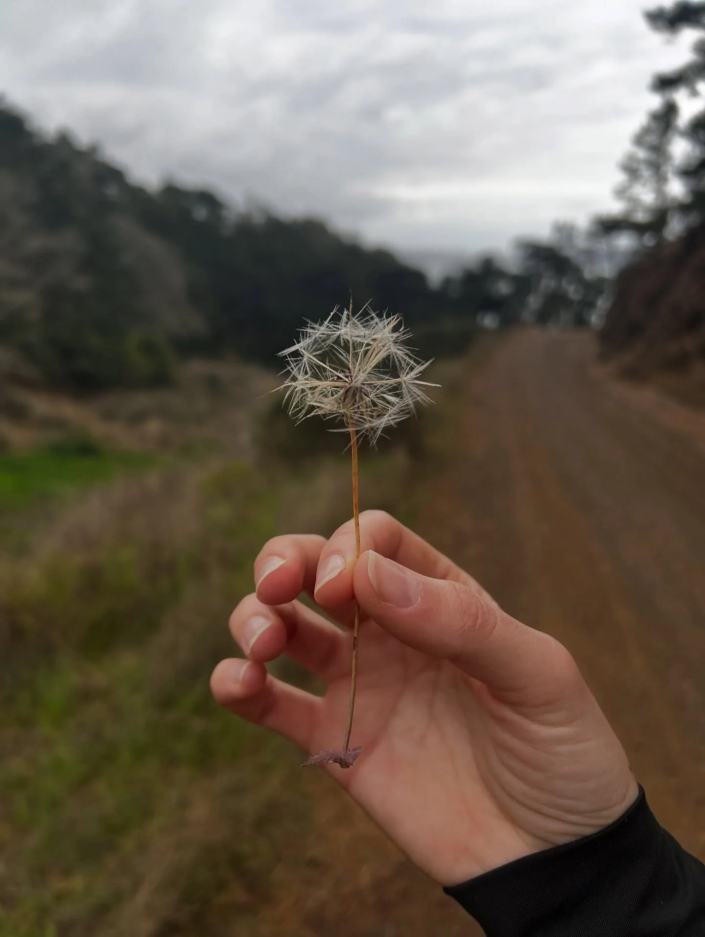 appreciating the muva 🌎💌