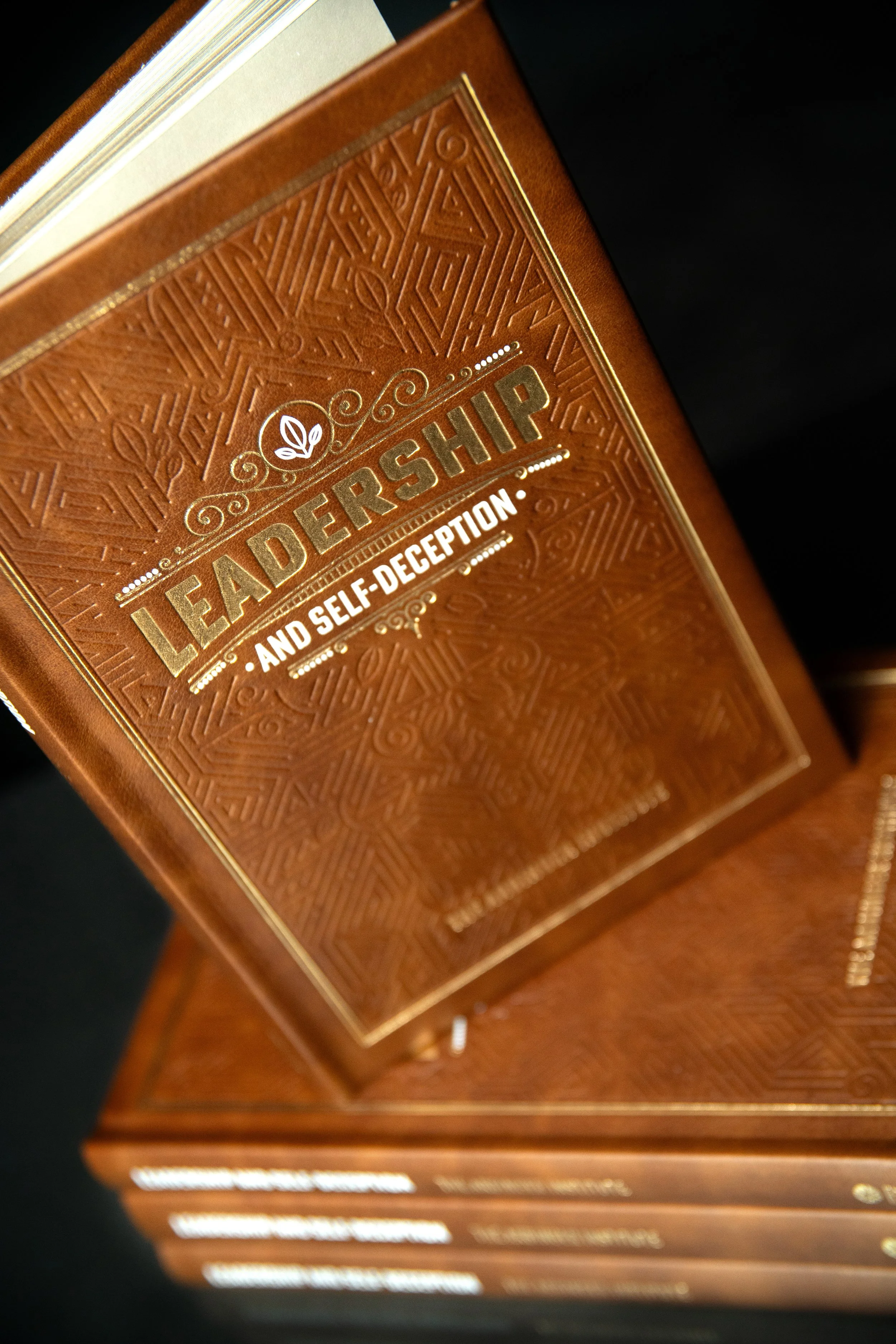 LSD_Leatherbound 2.jpg