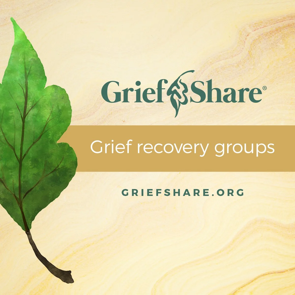 Grief Share #13