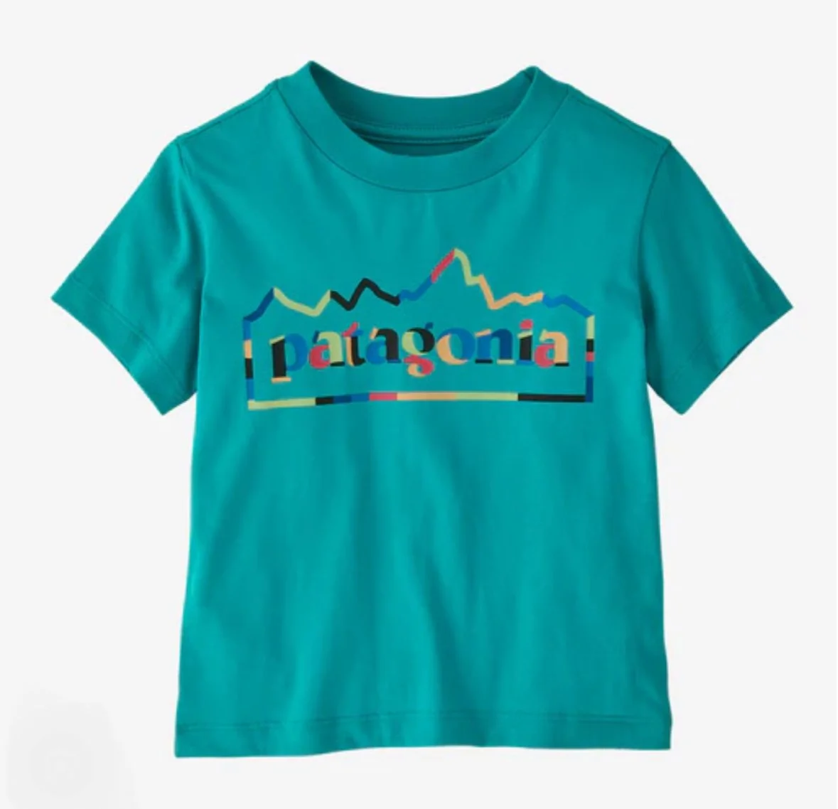 Baby Patagonia Graphic T-Shirt