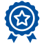 A blue badge or medal with a star in the center and a ribbon around it.