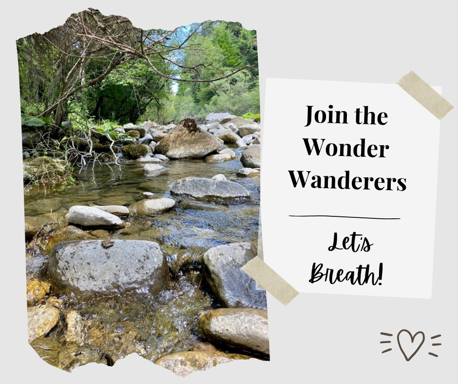 WW prompts for IG - 4.PNG