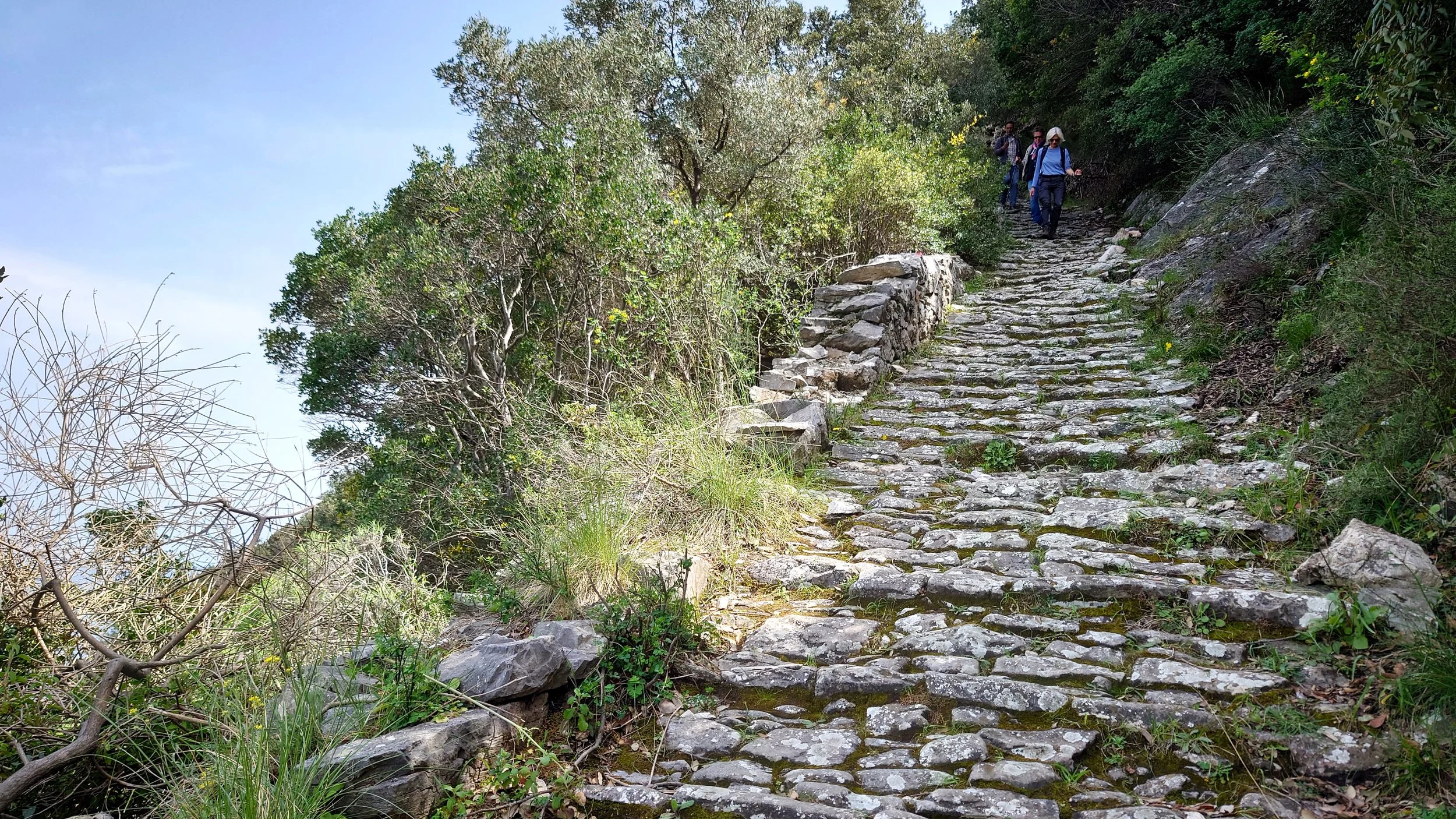 DSC_1889.JPG