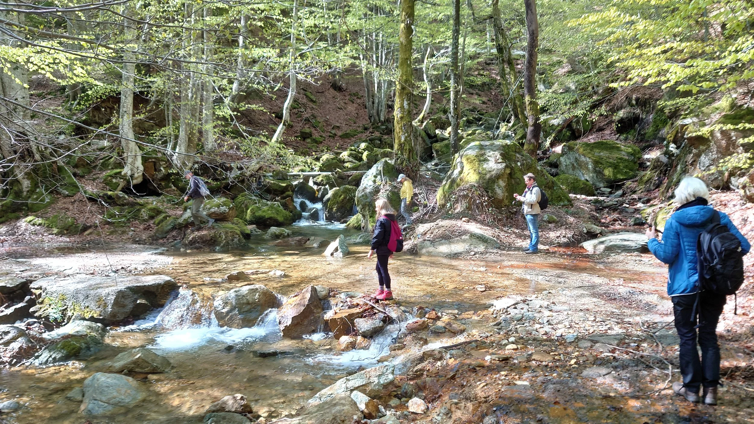 DSC_1814.JPG