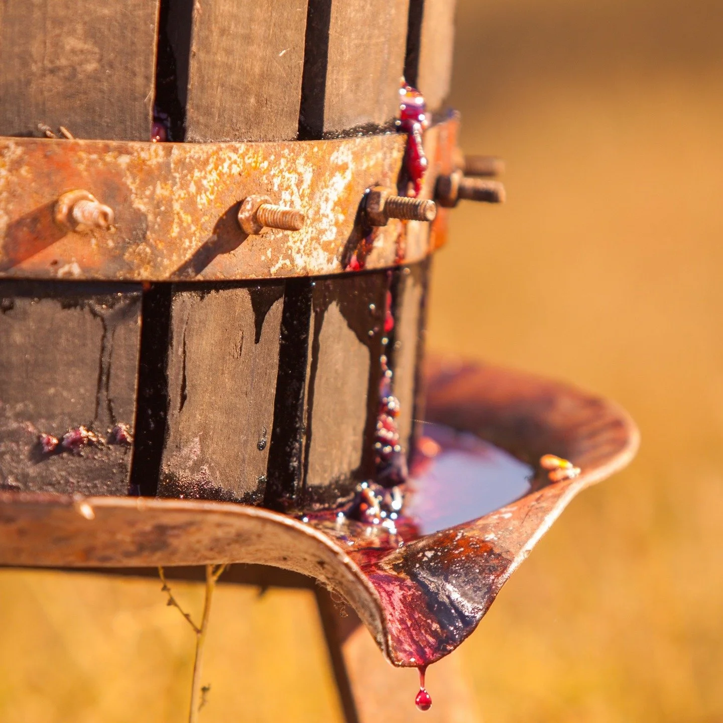 Die Kunst, das Handwerk, die Tradition und die Wissenschaft des Weines faszinieren mich auch nach 30 Jahren noch #biowein #rotwein #winelife