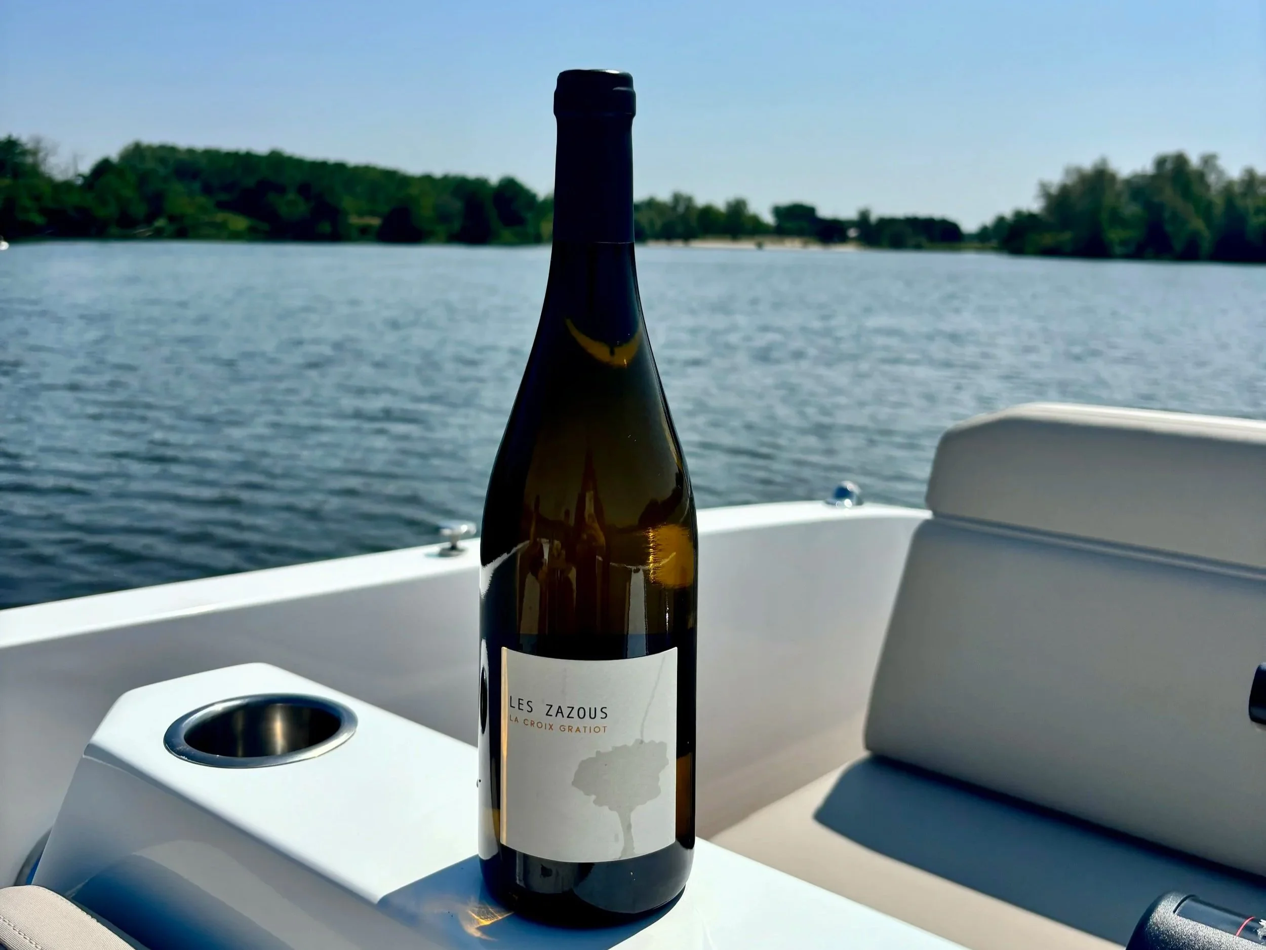 Wijngaard met druivenstokken en rijpe druiventrossen.