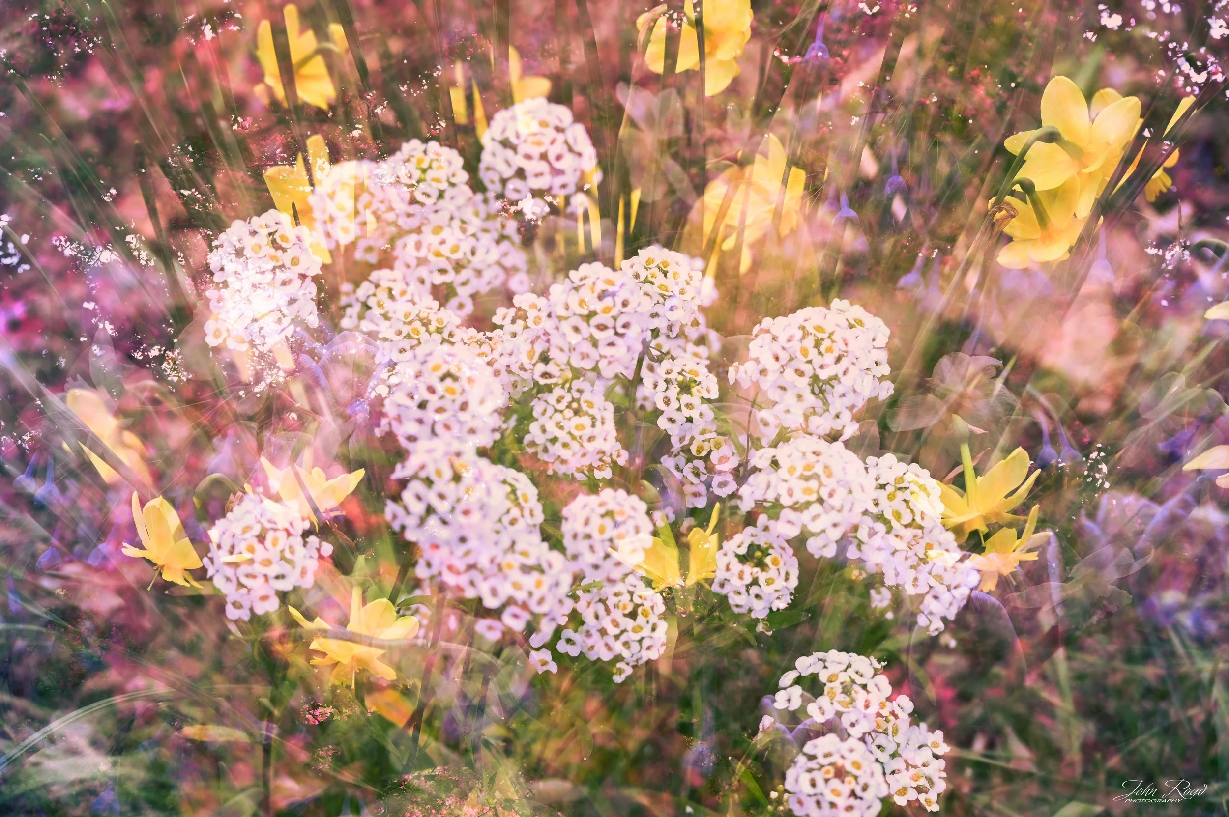 A layered and painterly composition where color and light converge. The image suggests a gathering of forms rather than a single subject, emphasizing abundance, motion, and the complexity of spring.