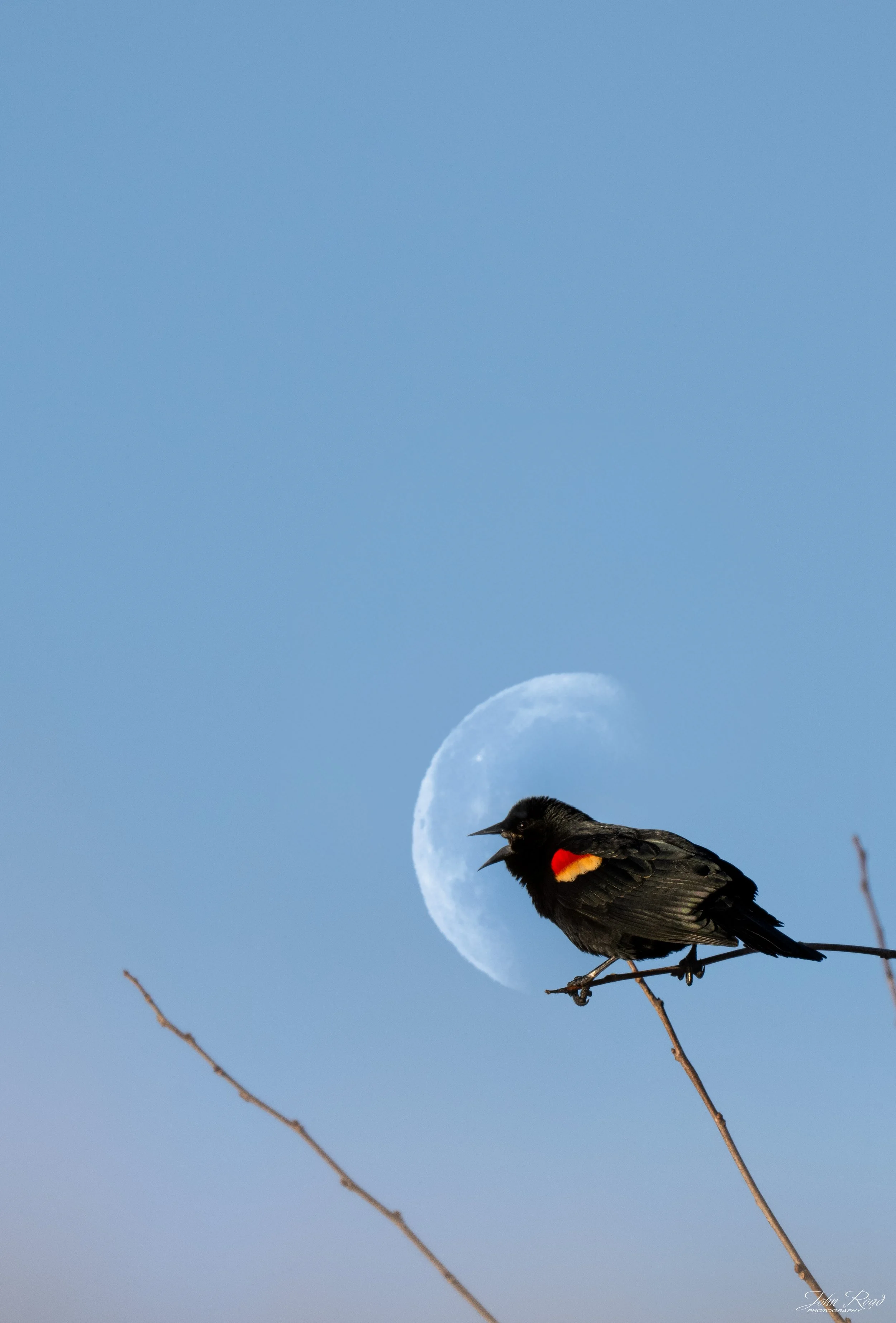 A Note Against the Moon