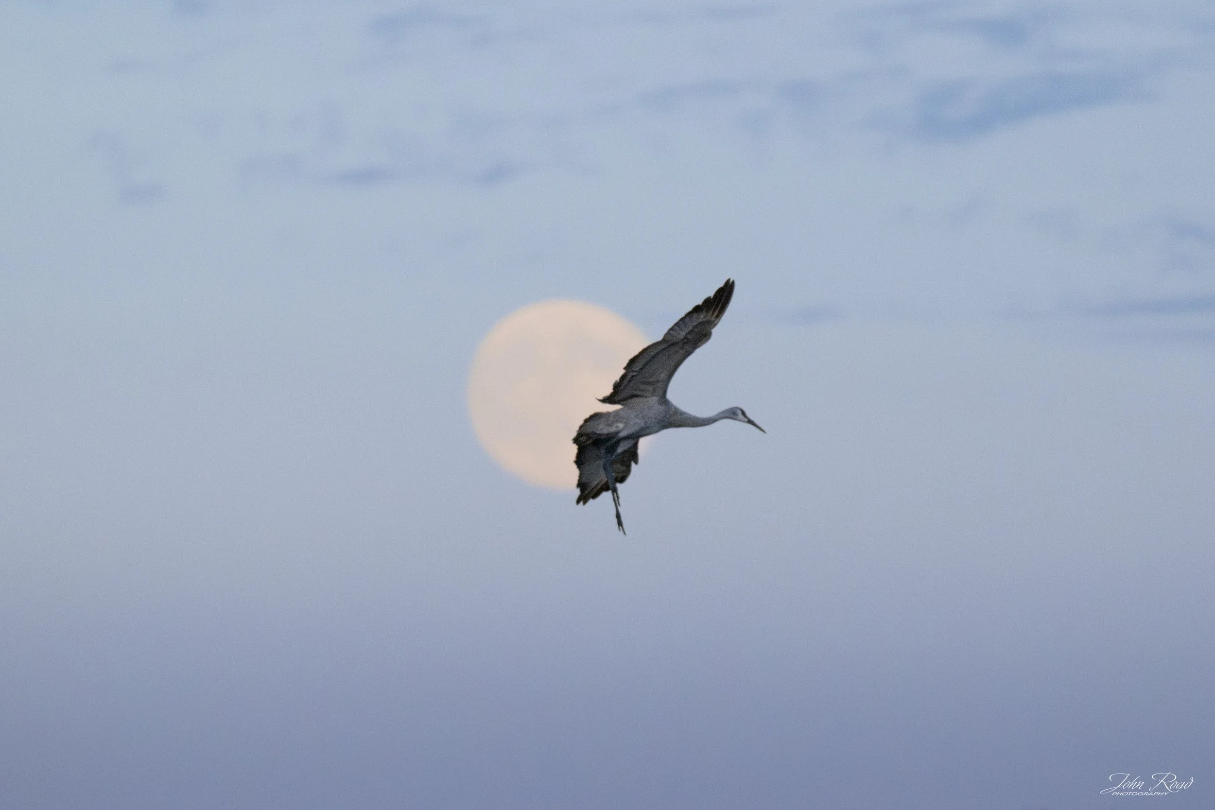 Lunar Flight