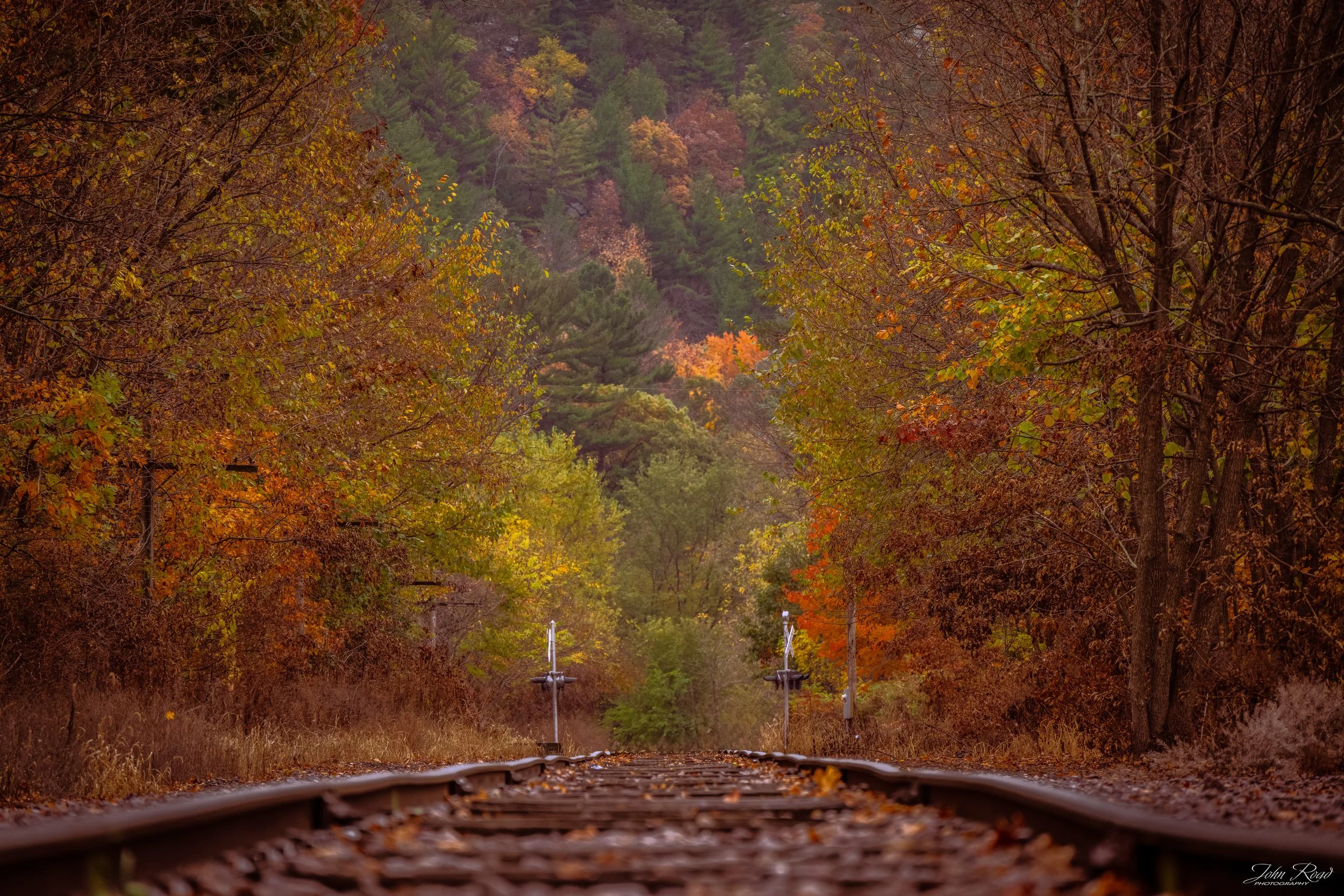 Autumn Tracks