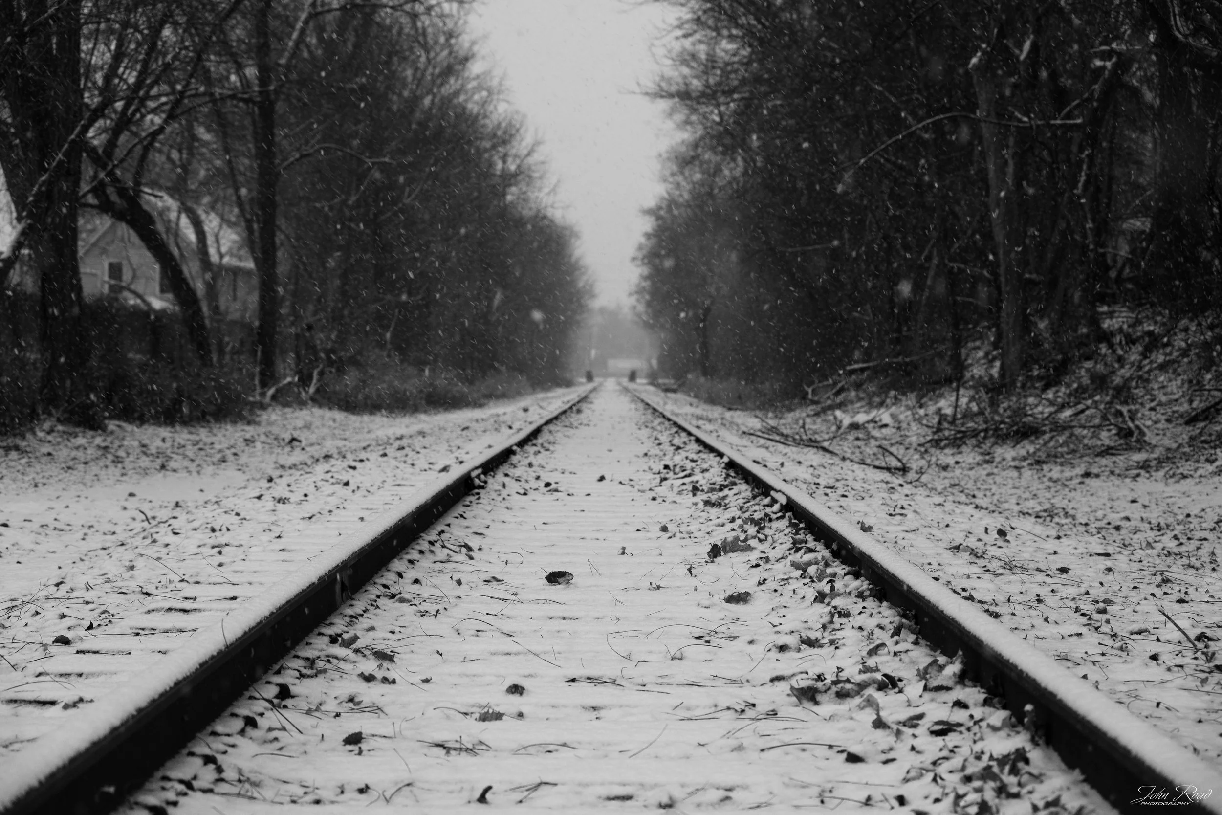 Snow-covered railroad tracks stretching into fog through a winter forest.