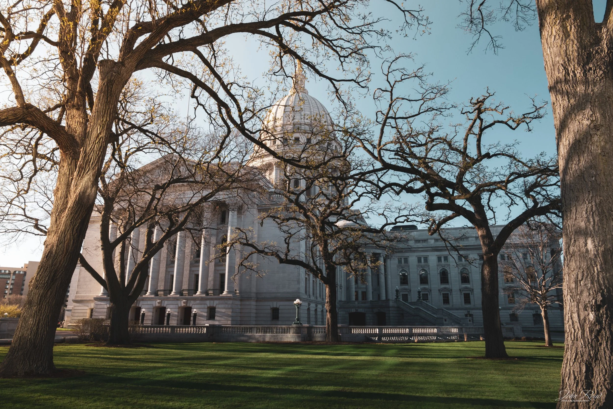 Capitol building framed by bare tree branches with soft light and green lawn in foreground
