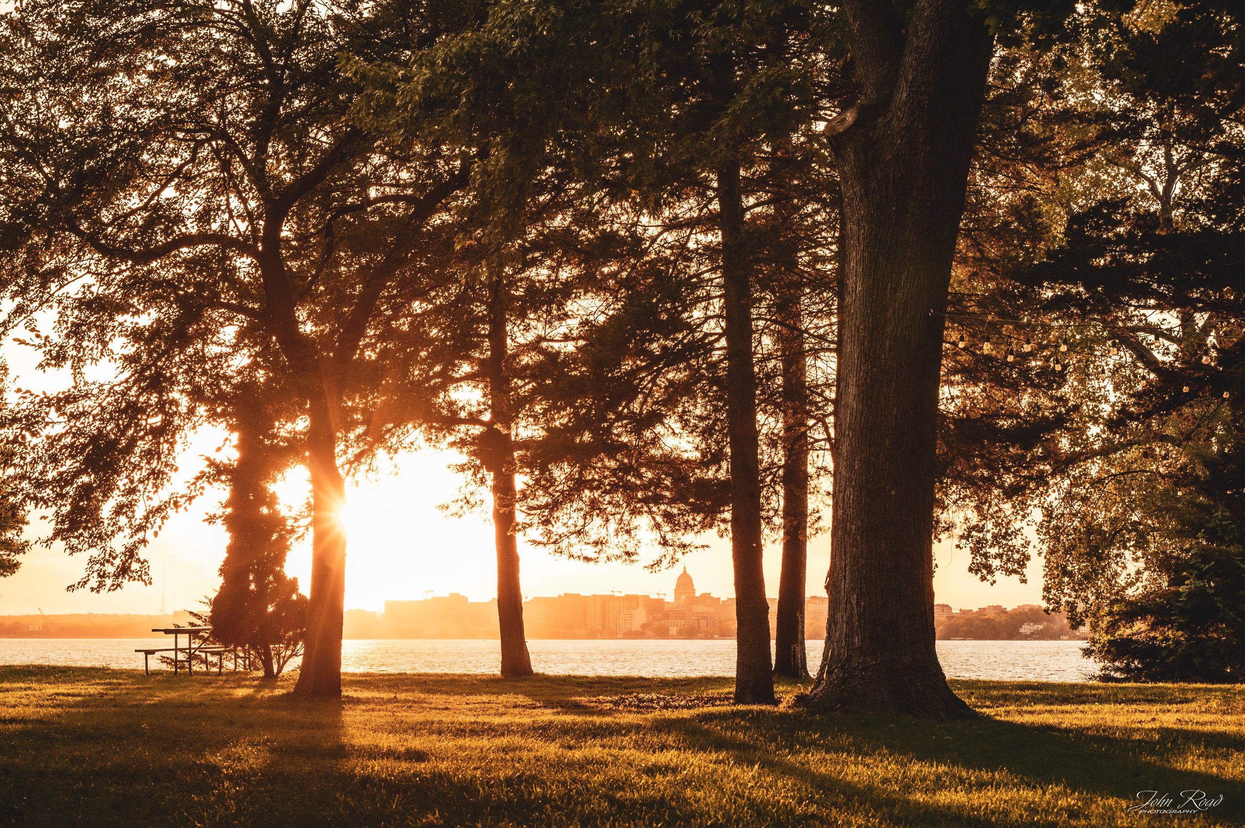 Golden sunlight shines through trees beside a lake, illuminating the grass and casting long shadows across the shoreline.