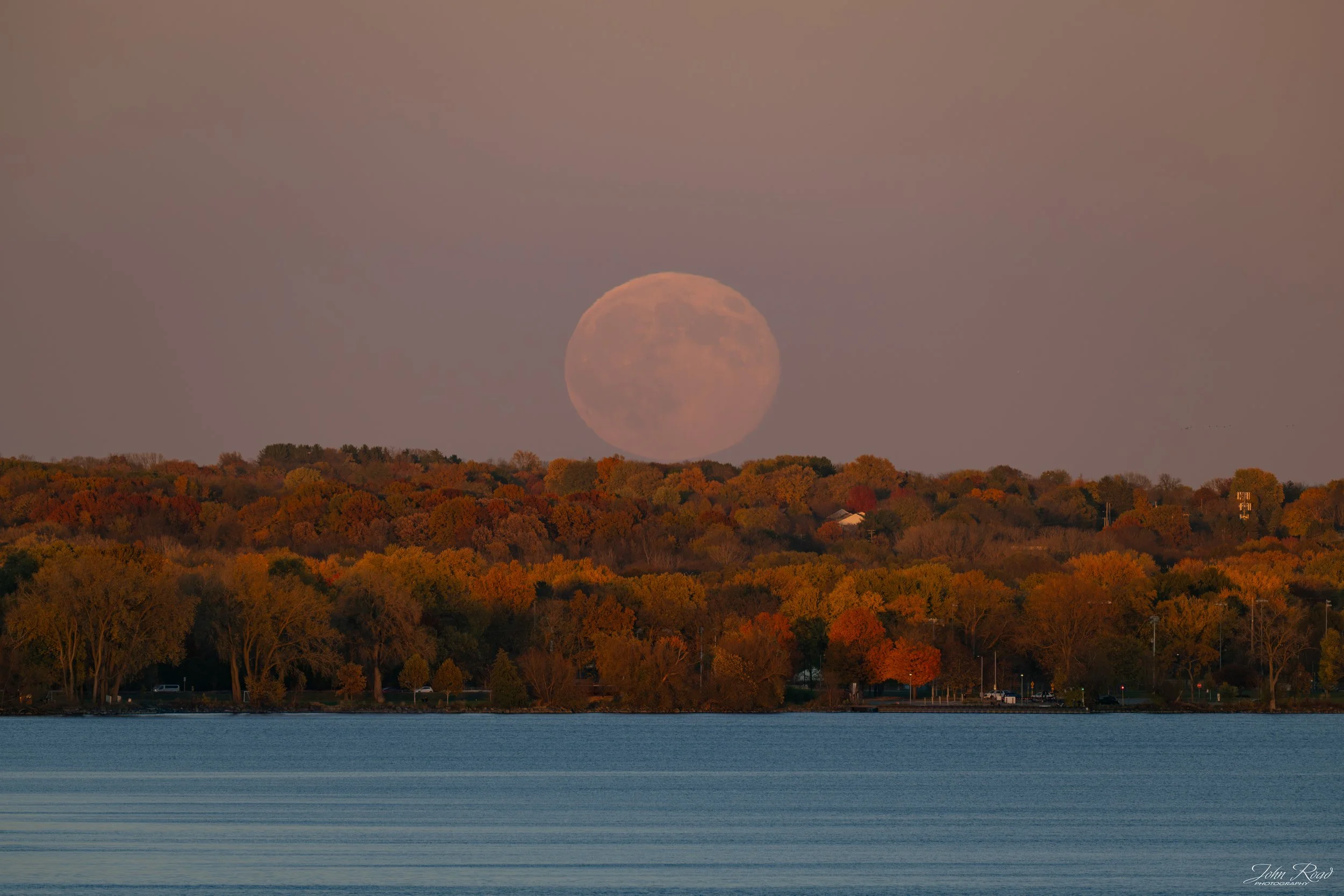 Full Beaver Moon rising over autumn trees and Lake Monona in Madison, Wisconsin, captured by John Road.